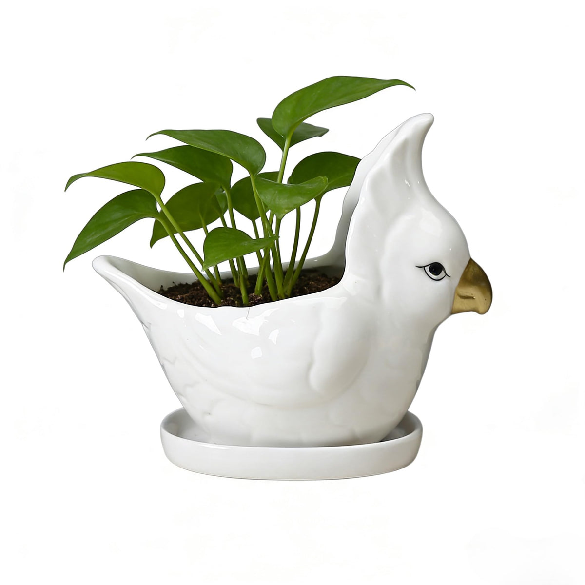 YANGMEI Ceramic Bird Planter Pot with Saucer, Drainage Hole Design, Cute Animal Succulent Pot for Indoor/Outdoor, Great Gift for Plant Lovers, Home Garden & Office Décor（White）