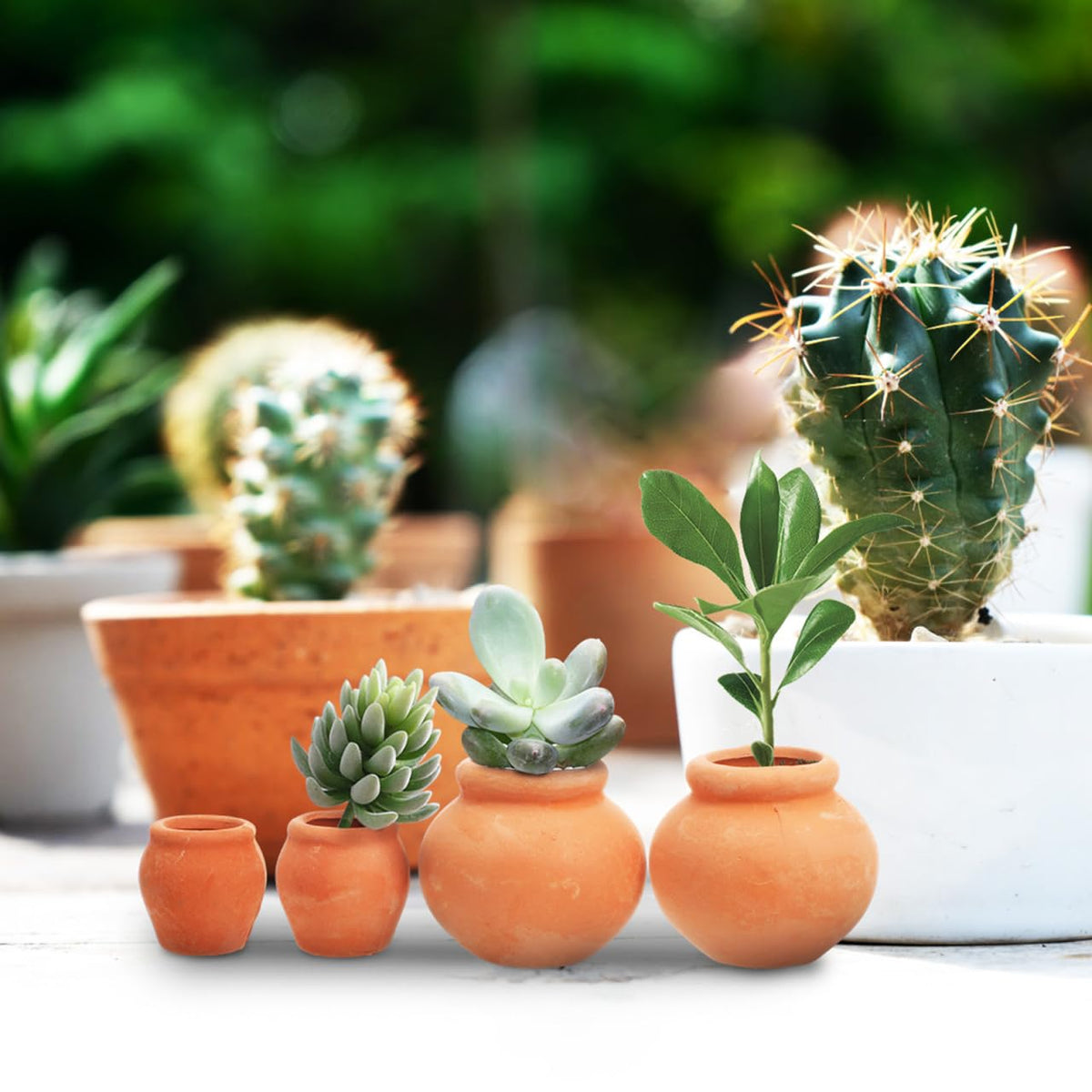 Mipcase 4pcs Mini Terracotta Succulent Pots Cute Nursery Containers for Indoor Plants Small Flower Breeding Pots Drainage Decorative Garden Planters for Home Office