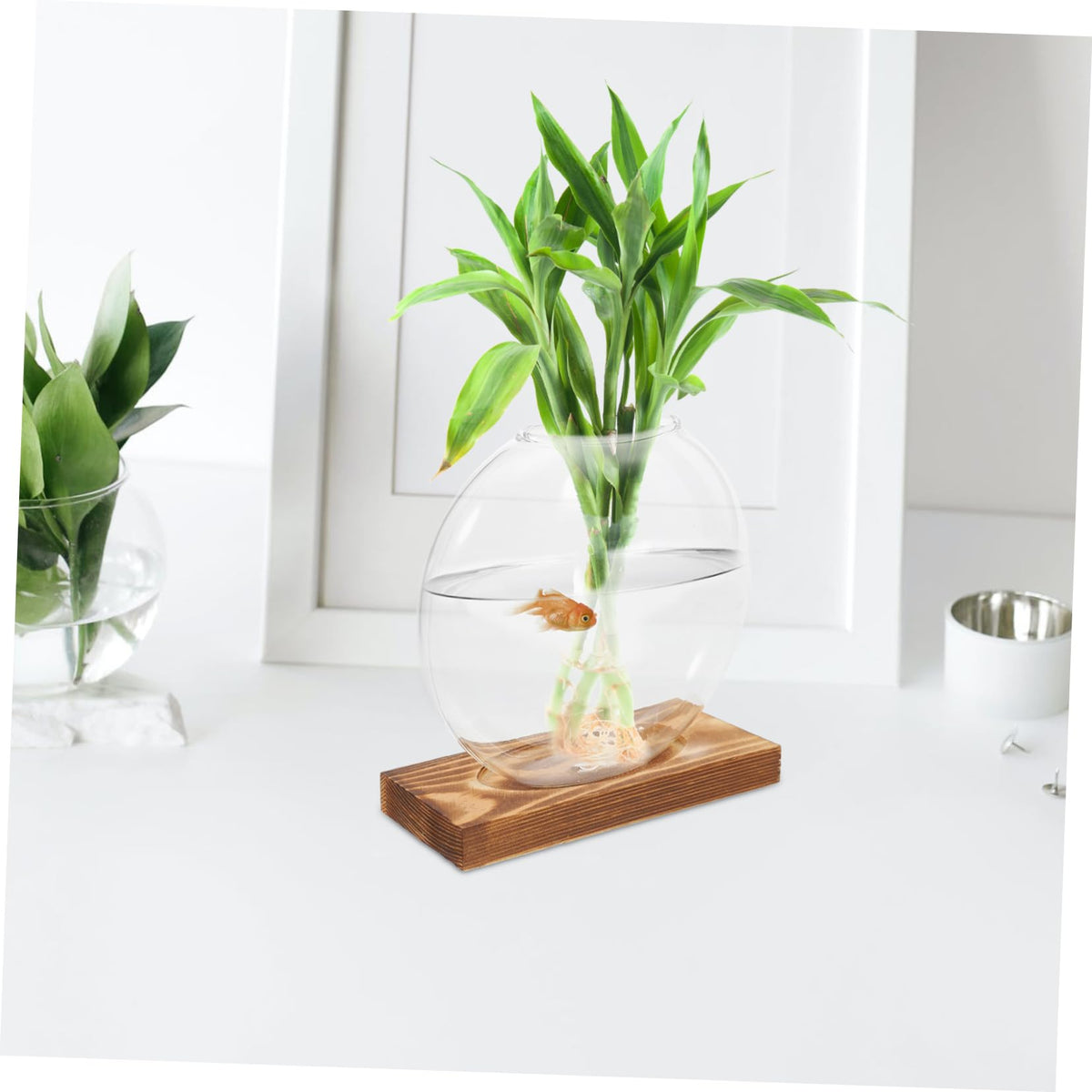 KESYOO Creative Hydroponic Vase with Transparent Glass Pot and Wooden Base for Soilfree Plant Propagation Indoor Terrarium and Elegant Flower Display Easy Setup and Maintenance