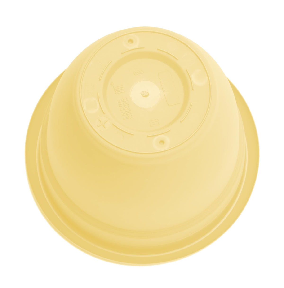 Bloem Ariana 12" Self-Watering Plastic Planter - Rolled Rim Indoor/Outdoor Garden Pot, Daffodil, 2-Pack