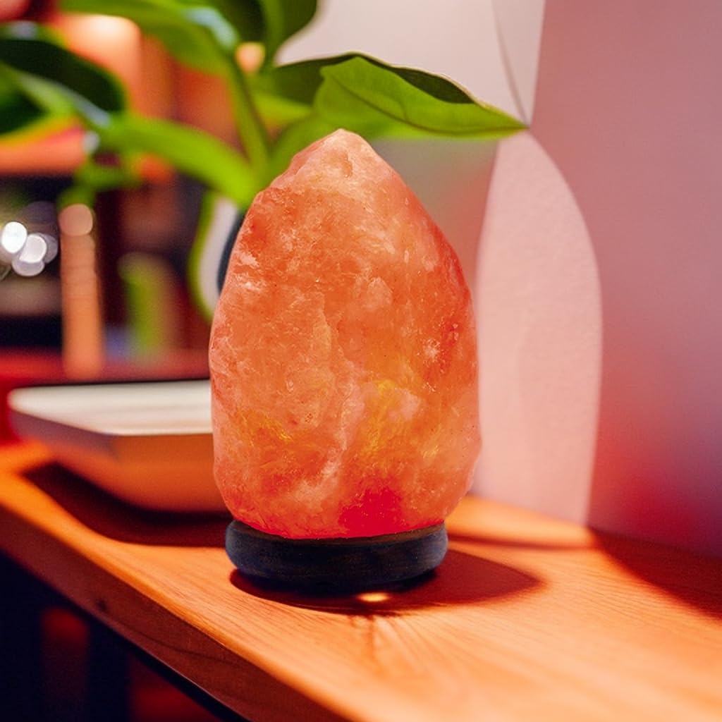 Needs&Gifts Himalayan Salt Lamp with Natural Himalayan Crystal Rock, Hand Crafted Wooden Base from Foothills of The Himalayas, Home Decor, Night Light & Gifts