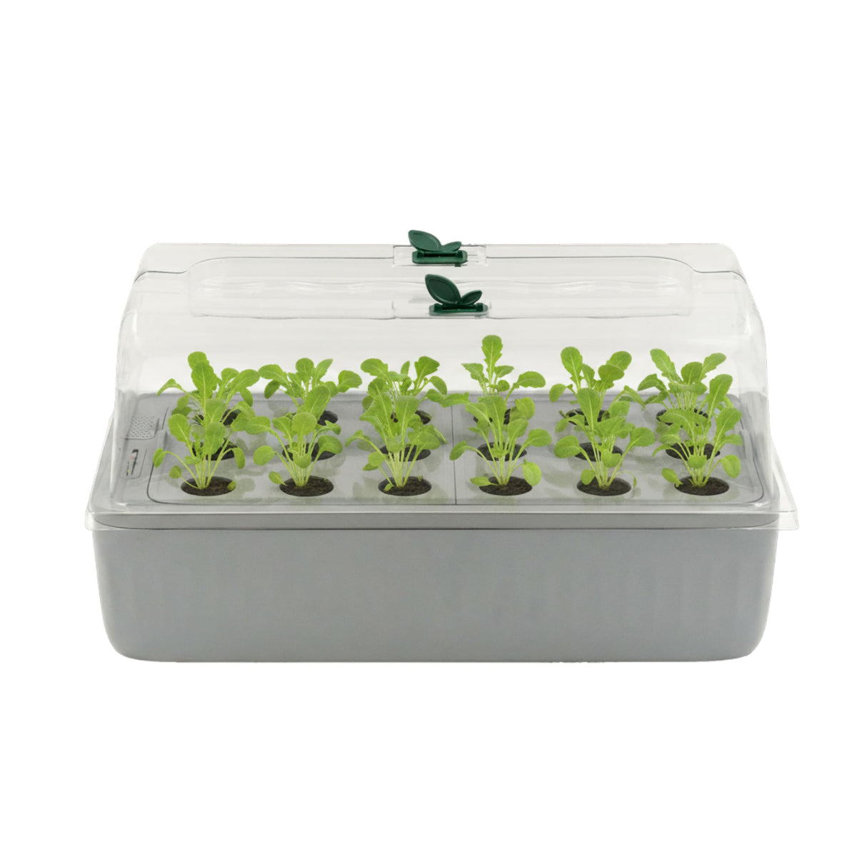 EZ Leafy Planter – Self-Watering Indoor Planter Box with Reservoir & Humidity Dome | Soil-Based Countertop Garden Kit for Leafy Greens, Lettuce, Spinach & Herbs | Kitchen Windowsill Planter