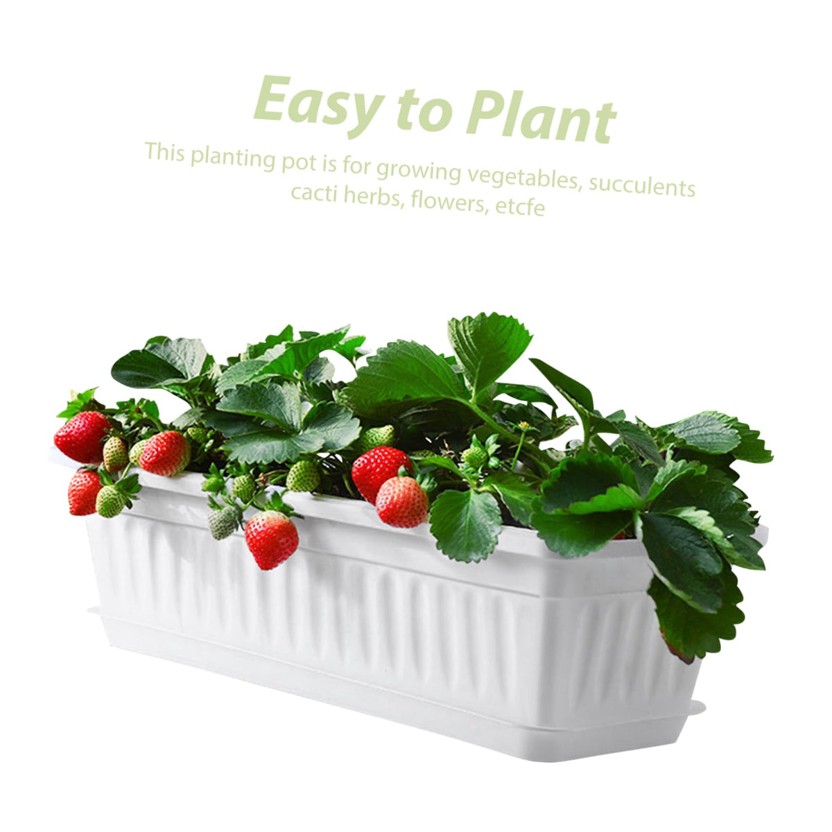 DOITOOL 2pcs Rectangular Plastic with Saucers Versatile Pots for Indoor and Outdoor Use Ideal for Vegetables and Flowers for Windowsills Patios and Gardens