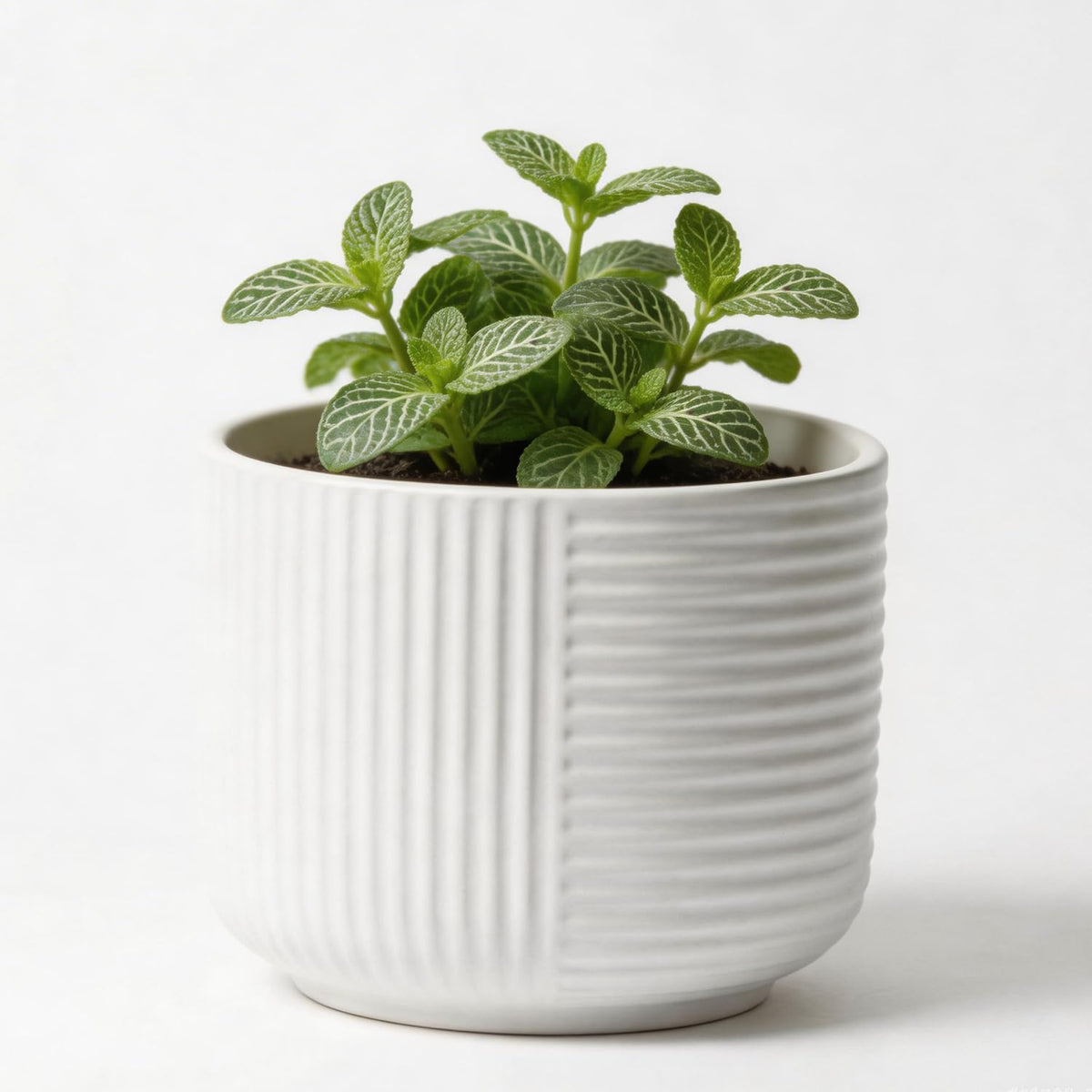 maryeadecoor Ceramic Plant Pots with Drainage Holes 6" - Creamy White Planters for Indoor Outdoor Plants - S(Small-6“)