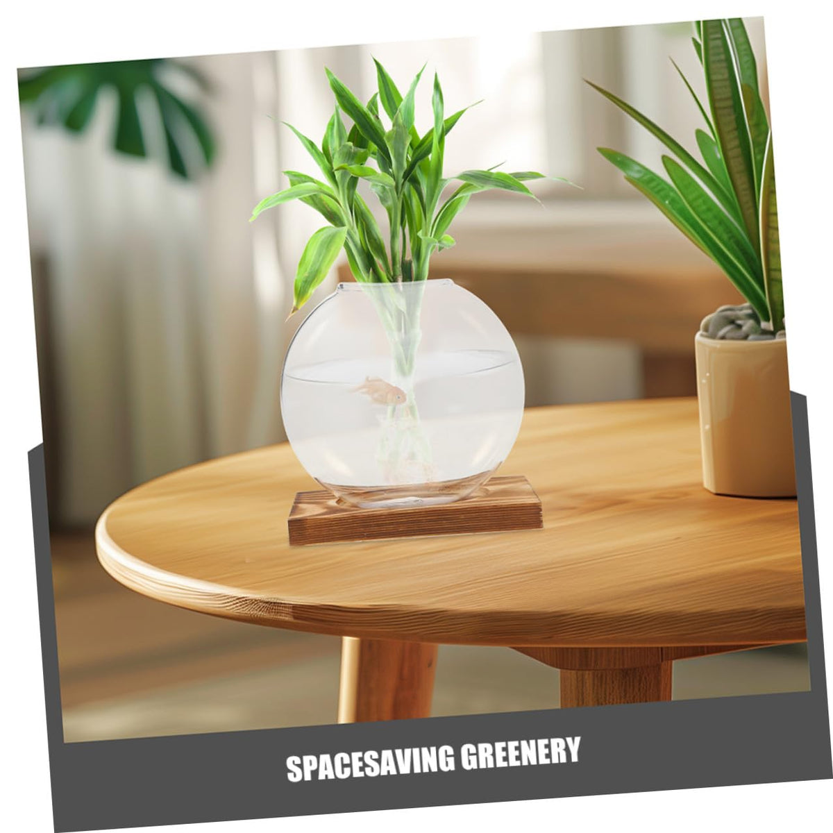 DECHOUS 2pcs Glass Plant Propagation Vases with Wooden Base, Hydroponic Terrarium Station for Indoor Plants, Glass Planter for Home Office Balcony