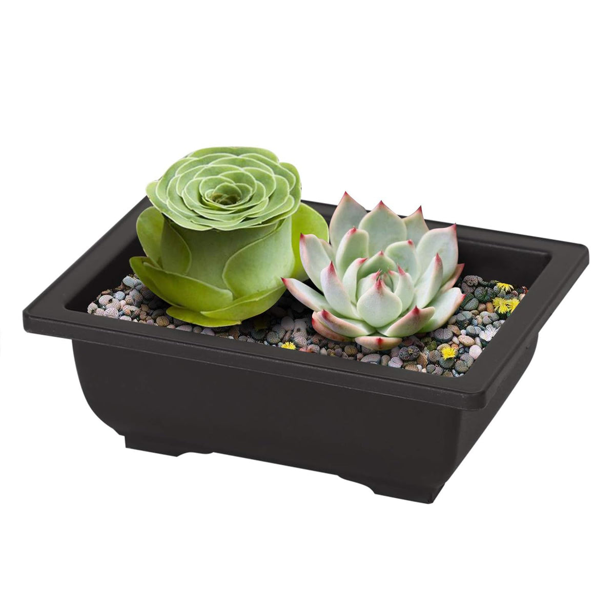 MANCHAP 20 PCS 8.9 Inch Plastic Bonsai Training Pots, Rectangular Bonsai Tree Planter Pot for Garden, Yard, Office, Home Decorative
