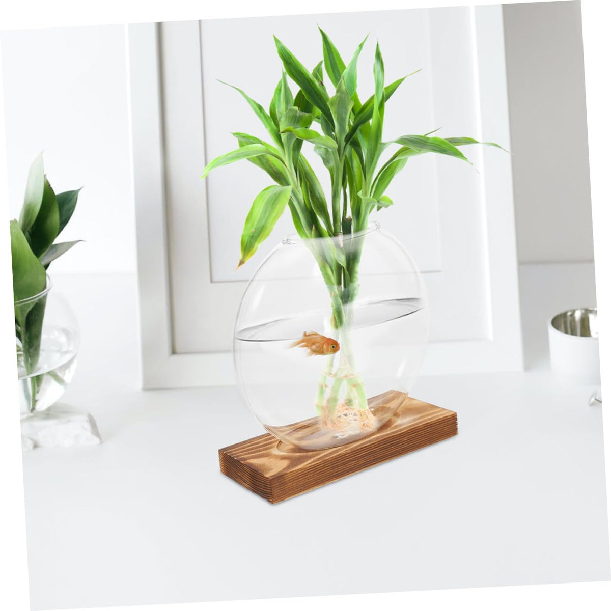 Toyvian 2pcs Hydroponic Glass Planter Vases with Wooden Stand Propagation Station for Indoor Plants Desktop Terrarium Suitable for Home and Office Décor