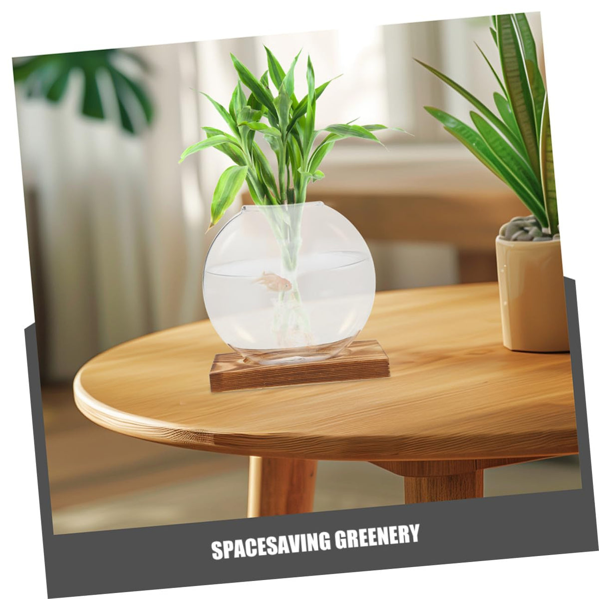 Abaodam 2pcs Hydroponic Glass Vase Propagation Station with Wooden Base, Plant Terrarium for Home Office Balcony, Desktop Glass Pots for Plant Cuttings