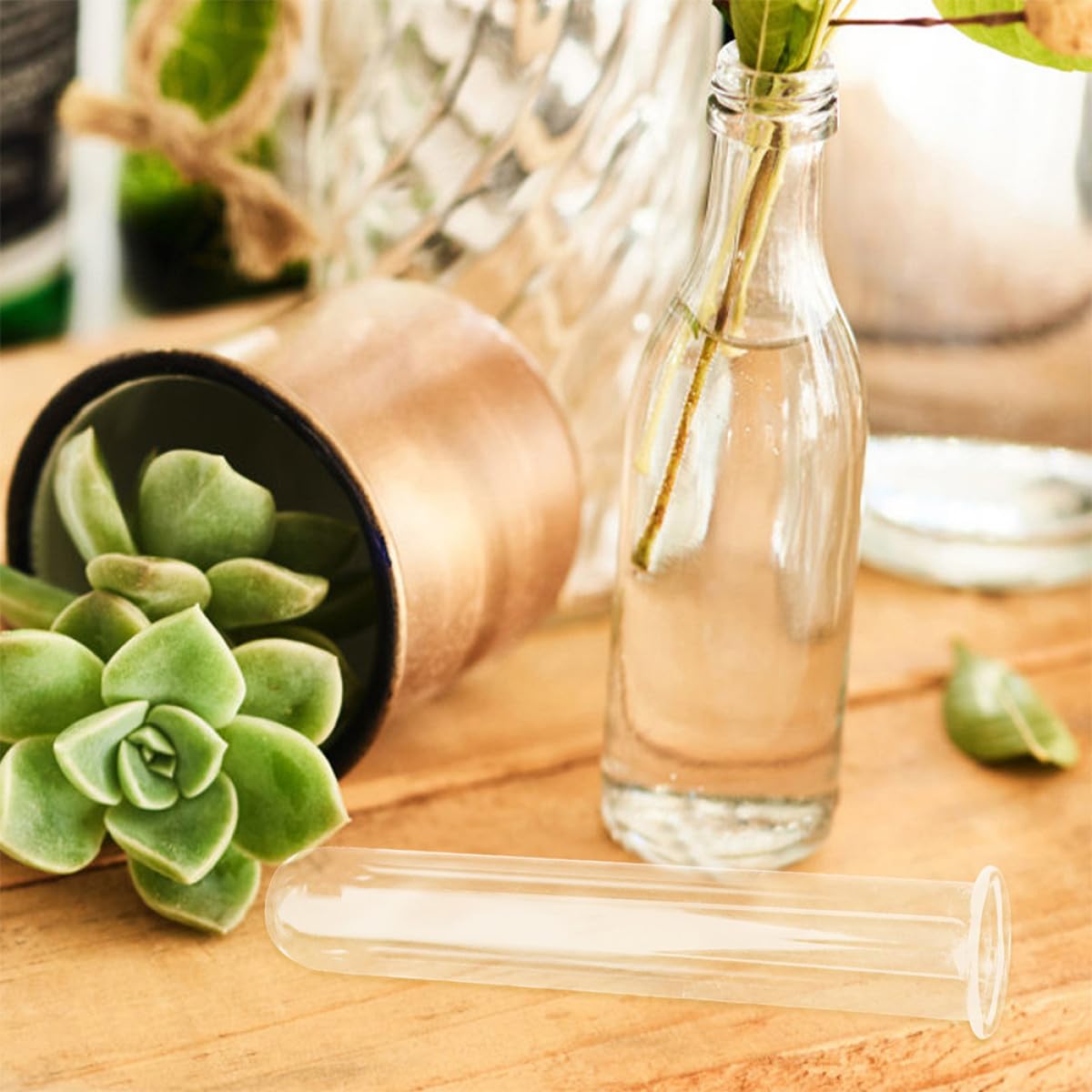 Cabilock 4pcs Glass Propagation Test Tube Vase Set 2.5x3x18cm Hydroponic Plant Holder for Small Terrarium and Flower Display Home Decor