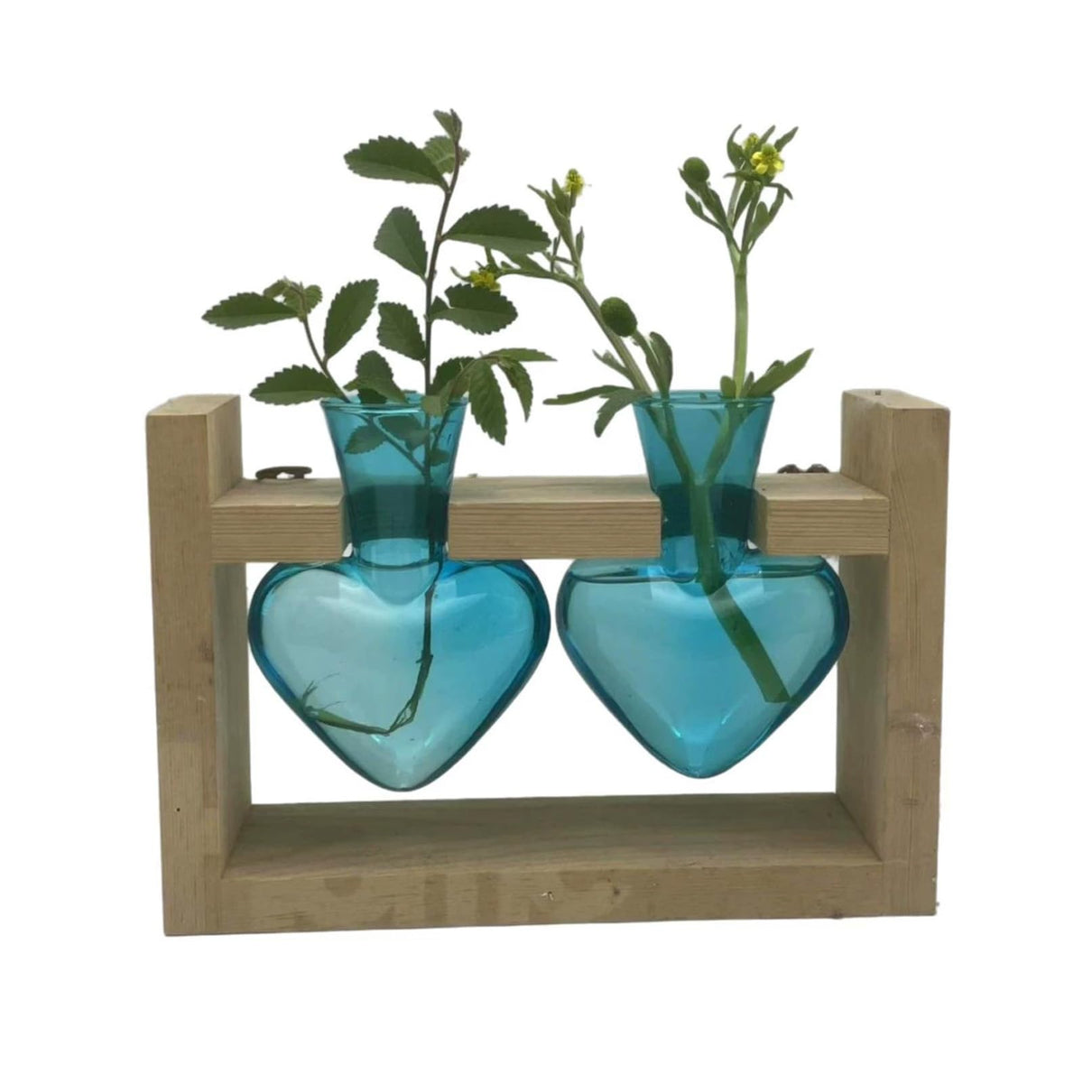 Luocute Heart Shaped Glass Vase, Plant Terrarium Propagation Station with Wooden Stand for Home Office Decor Hydroponics Garden
