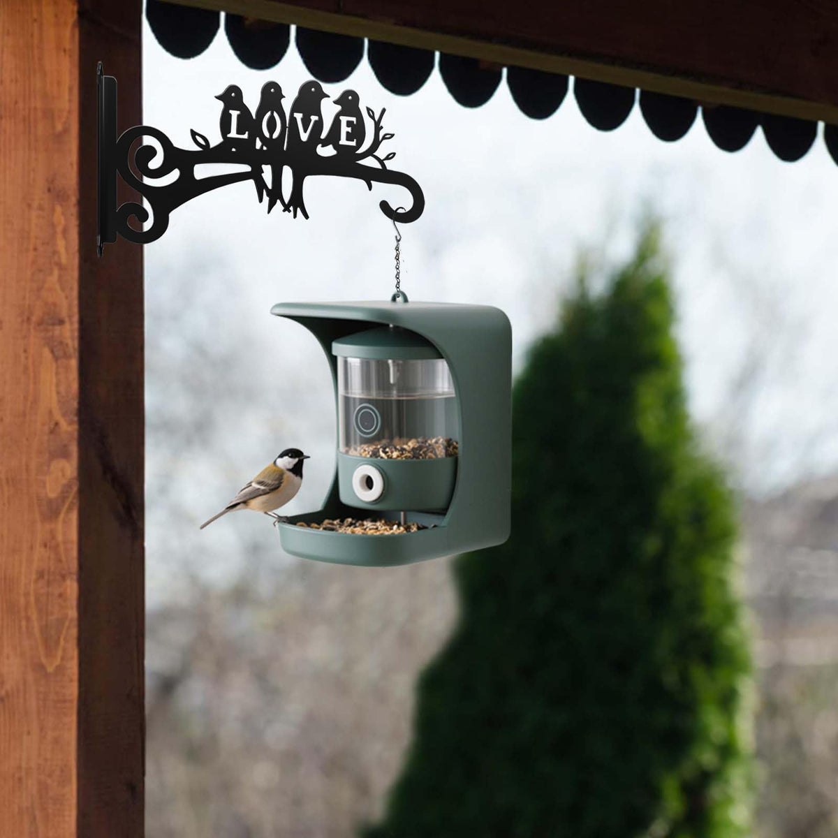 RANRTI 2-Pack Aesthetic Plant Hangers Outdoor and Indoor – 10 Inch Metal Hanging Plant Bracket with Beautiful Bird Pattern – Anti Rust Plant Hooks for Hanging Baskets, Bird Feeder, Windchime, Lantern