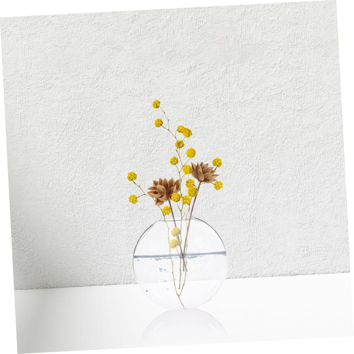 SOLUSTRE 2Pcs Clear Wall Vase Transparent Glass for Indoor Plants Space Saving Wall Decor for Home Office Easy Maintenance Terrarium
