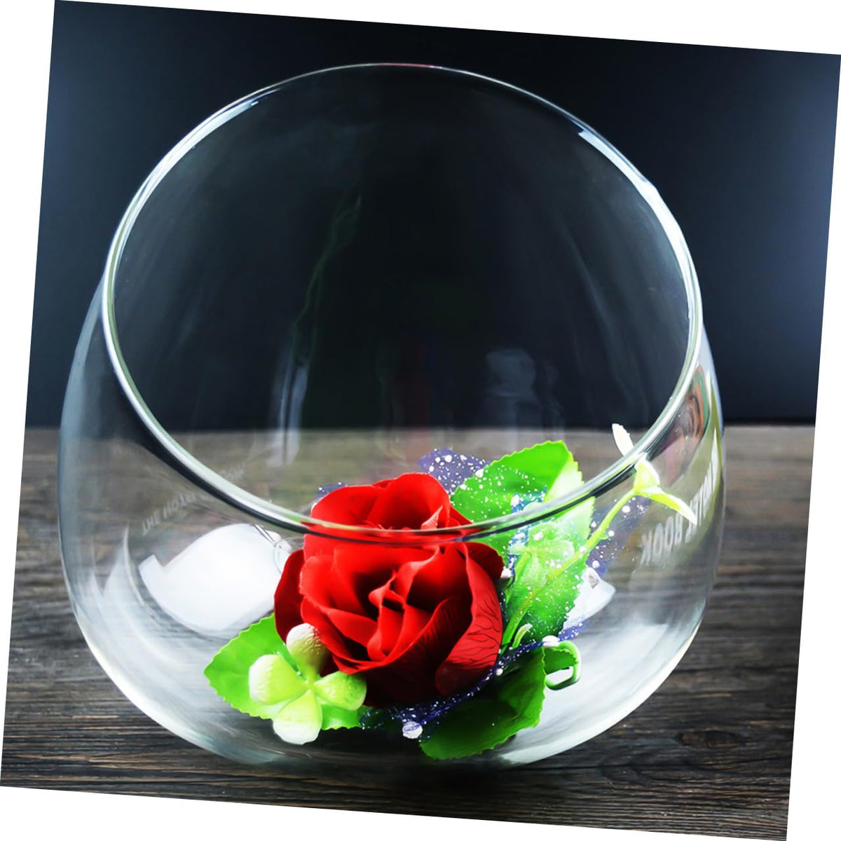 BESPORTBLE 3pcs Slant Cut Glass Landscape Bottles Micro Landscape Ecological Glass Containers for Desktop Plant Terrarium Succulent Decoration