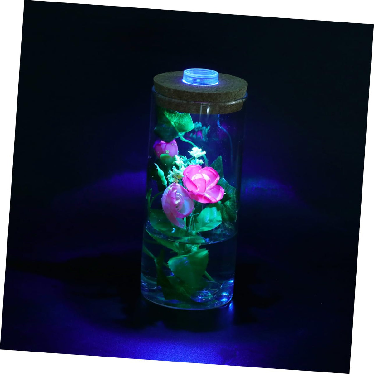 SUPVOX Modern Led Lighted Eco-Bottle Glass Terrarium Bottle Cork Cap Terrarium Decor for Home Office Aquarium Background Plant