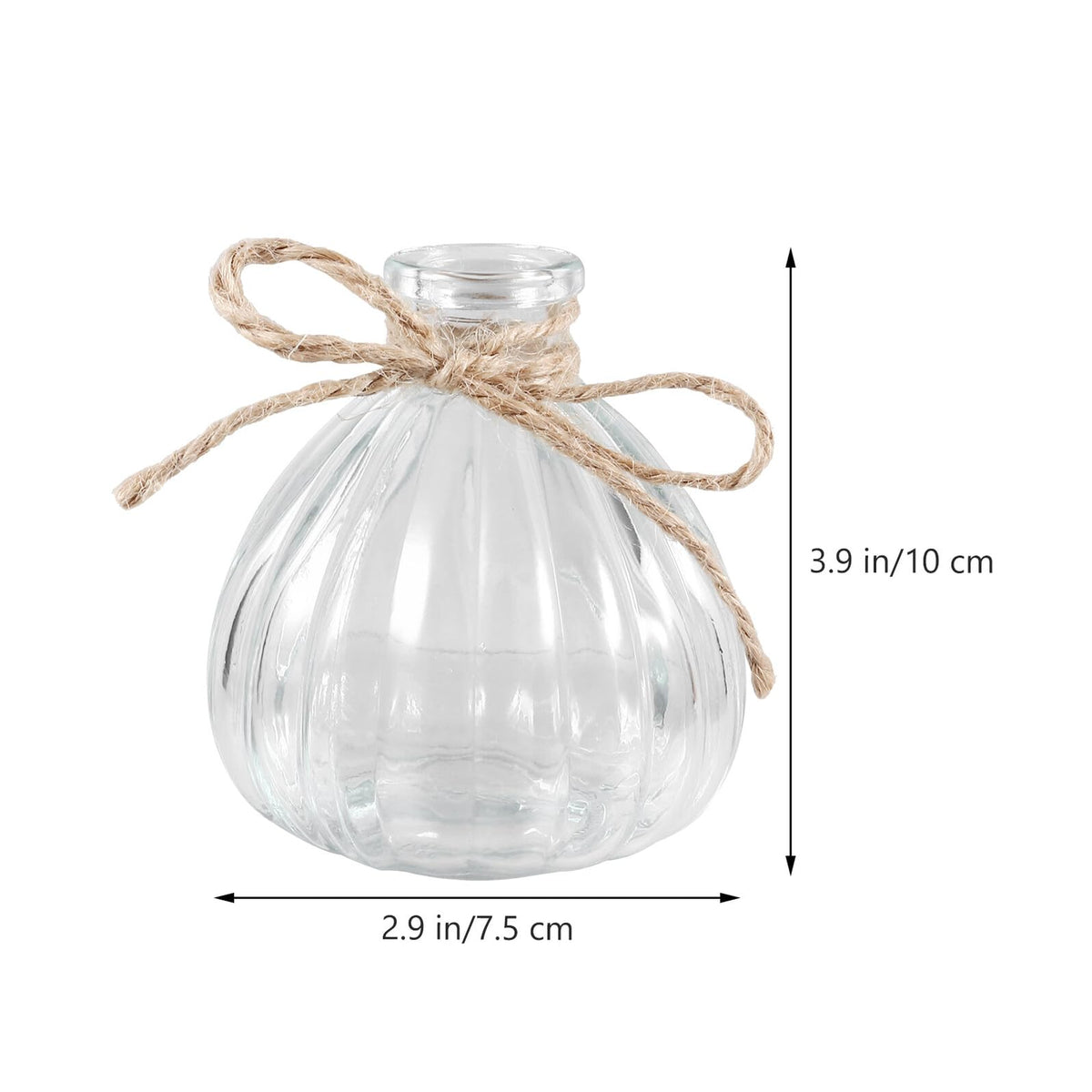 Cabilock 5pcs Glass Vases Set with Rope Design, Plant Terrarium Flower Arrangement Containers for Home Décor, Desktop Adornment, Includes Cone, Pumpkin, European Triangle Shapes