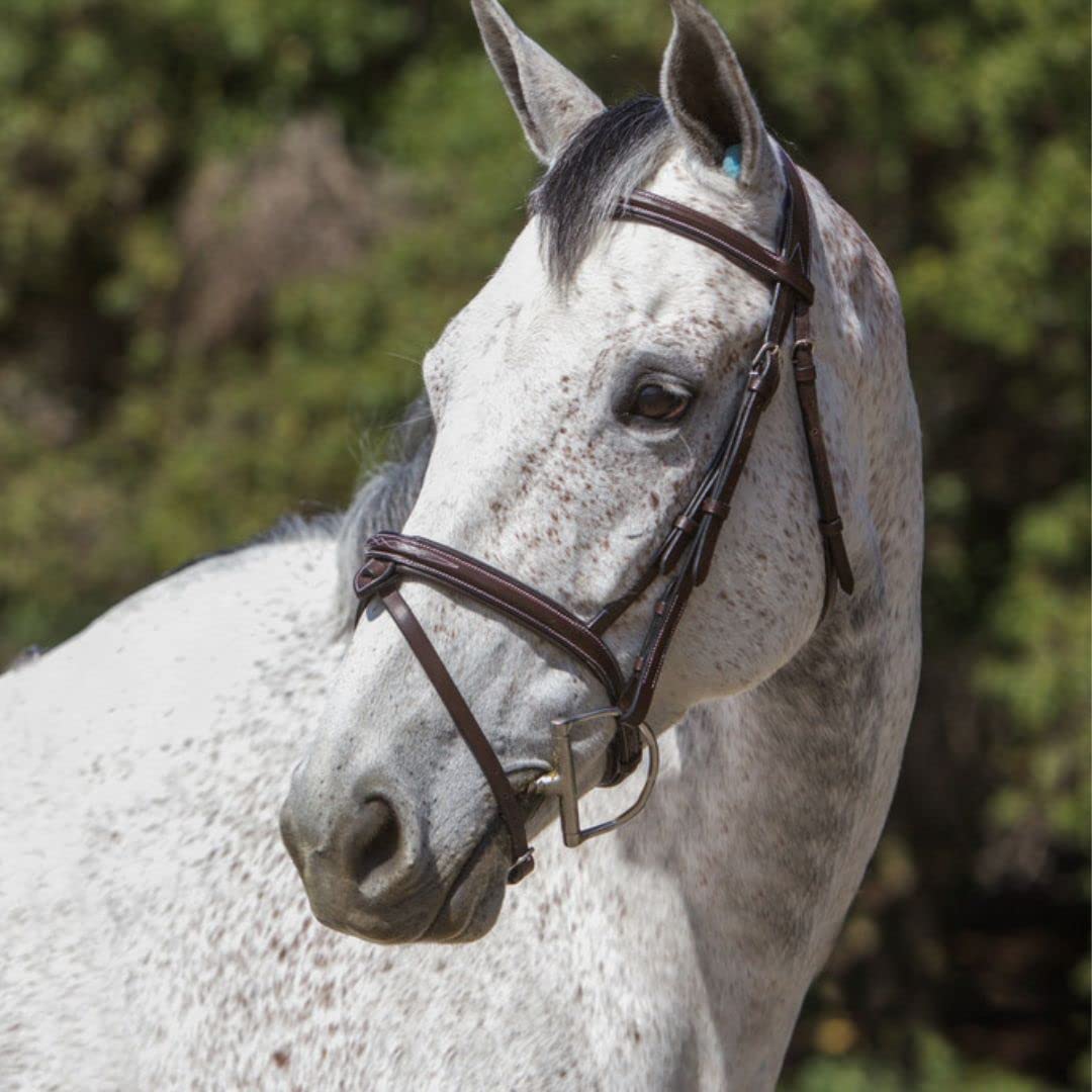 Exion Anatomical Snaffle Jumping Bridle for Horses with Removable Flash Noseband & Rubber Reins – Premium Vegetable-Tanned Leather, Brass Buckles, Padded MonoCrown, Designer Stitching