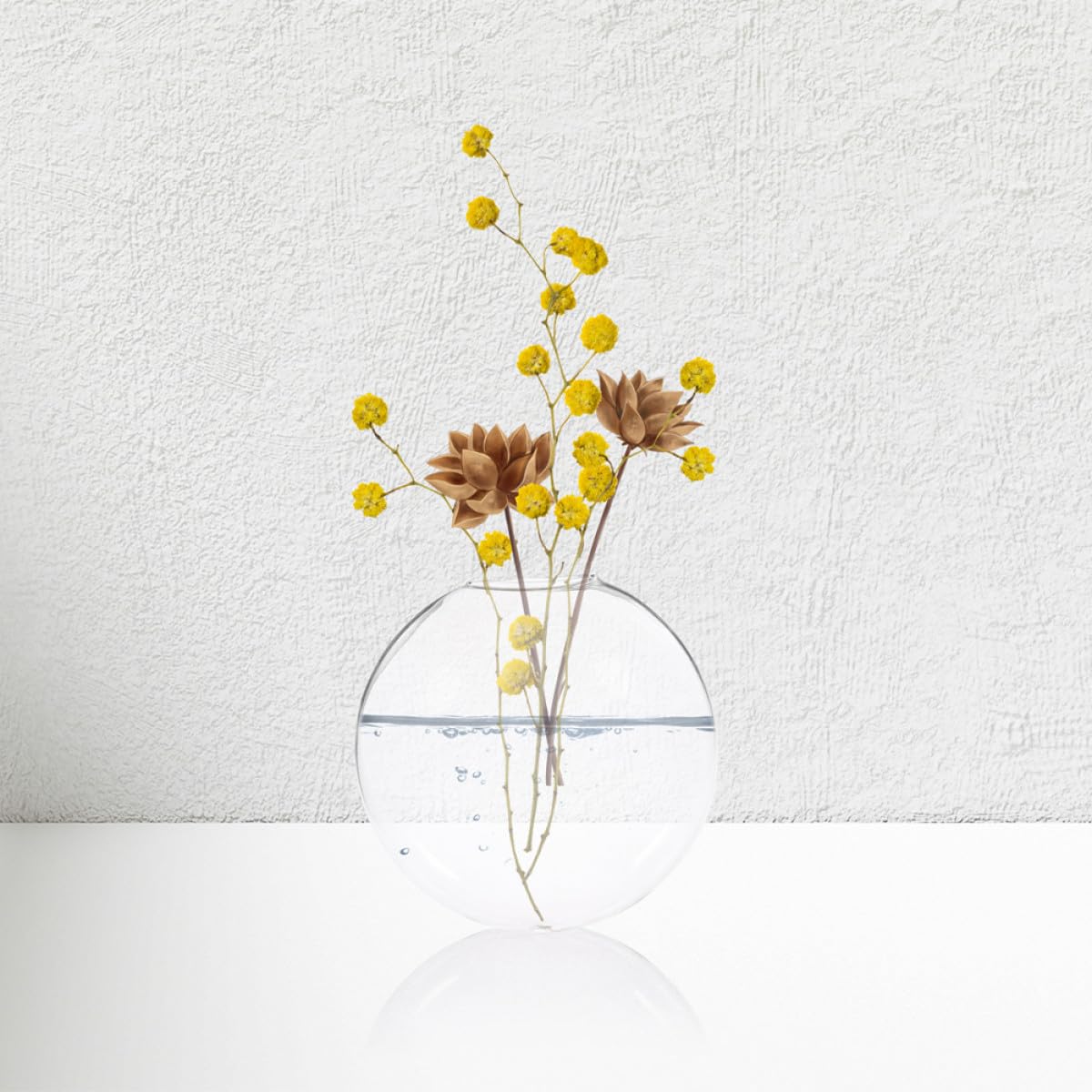 VALICLUD 4pcs Wall Mounted Glass Planter Terrarium Hydroponic Plant Vase Set for Indoor Home Office Decor