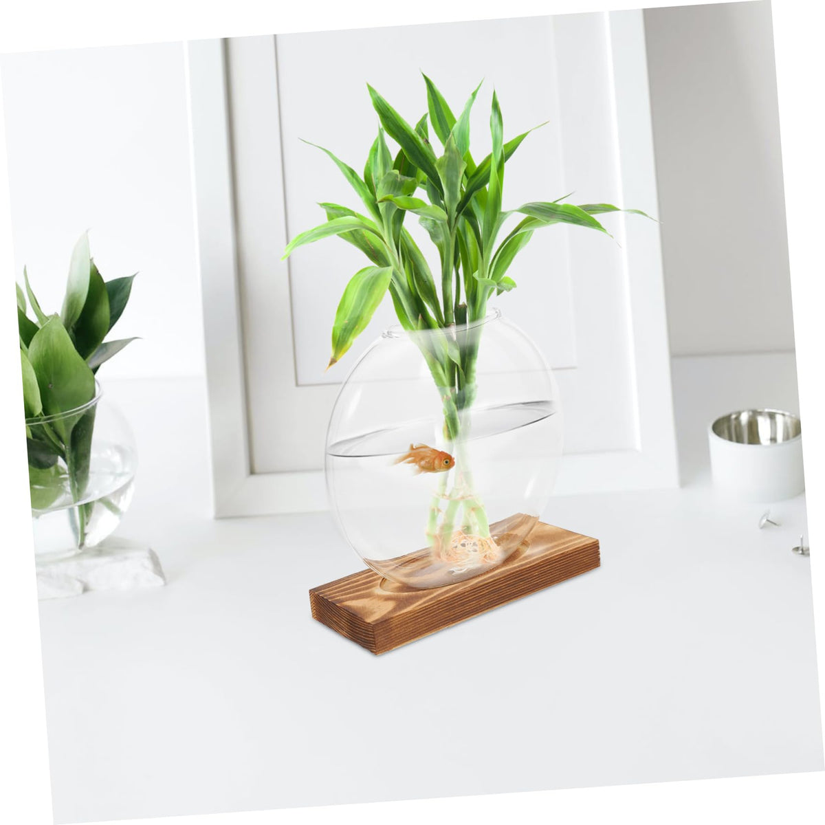 Levemolo Glass Terrarium Jar Plant Decorations Hydroponic Vase Wooden Base for Warming