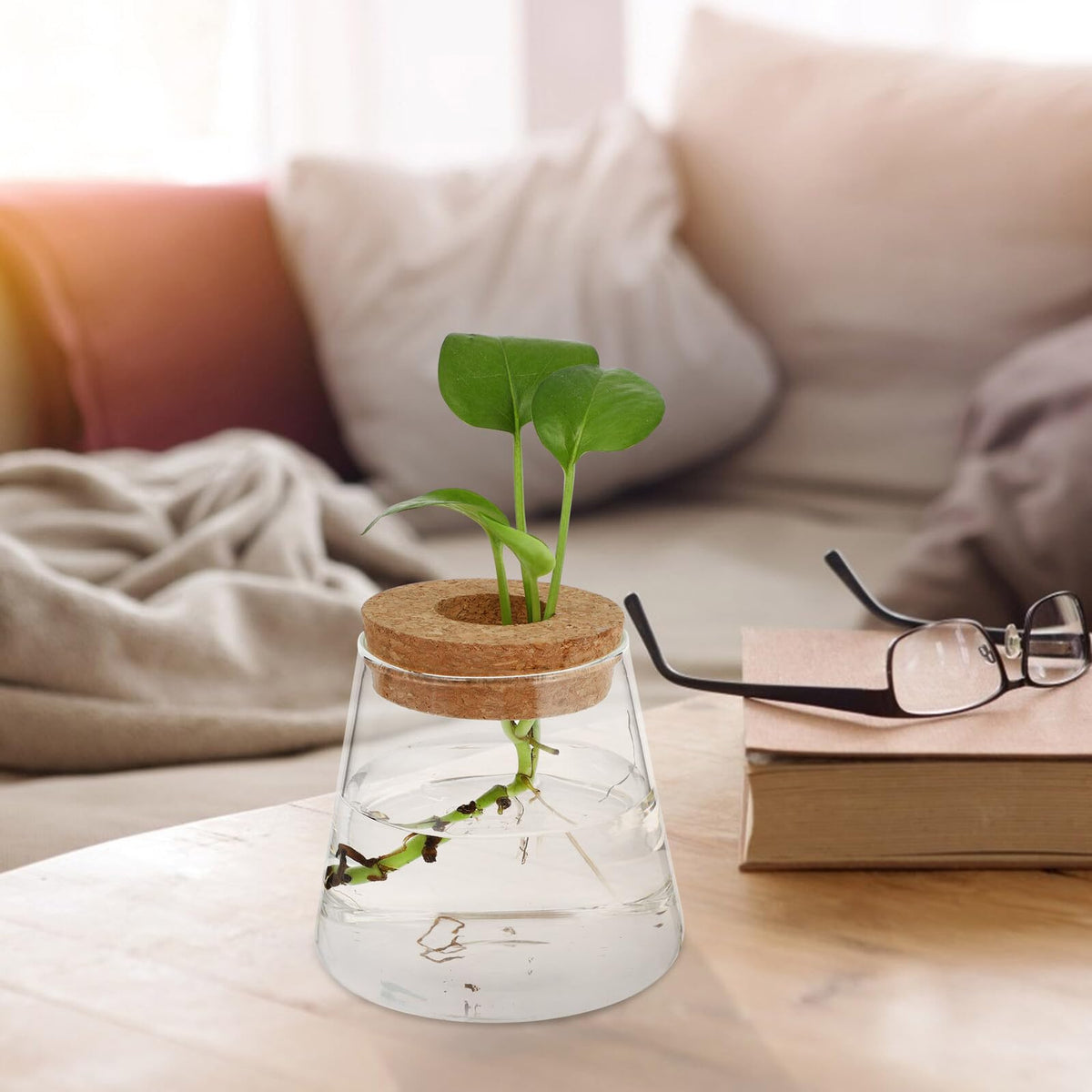 FUOYLOO Desktop Glass Vases for Hydroponics Plants, Stylish Terrarium Planter Wood Lid for Indoor and Hospitality Decor