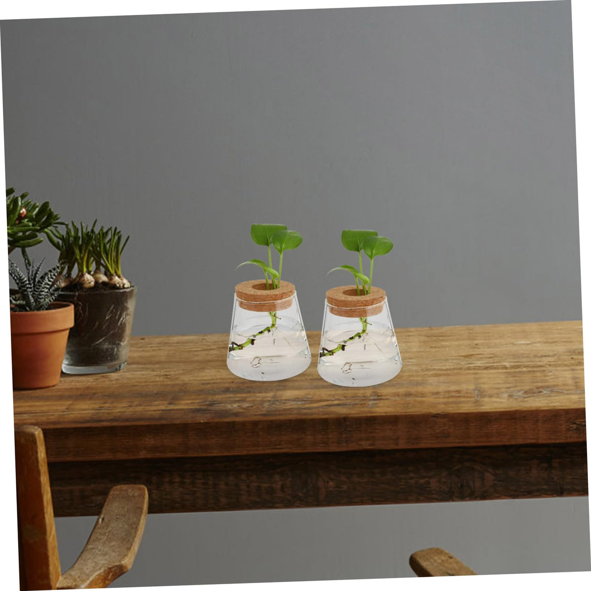 PRETYZOOM 2Pcs Glass Hydroponic Plant Vases for Desktop Home Decoration Clear Smooth Glass Terrarium for Floral Arrangement Office Plant Propagation Jar Unique Design