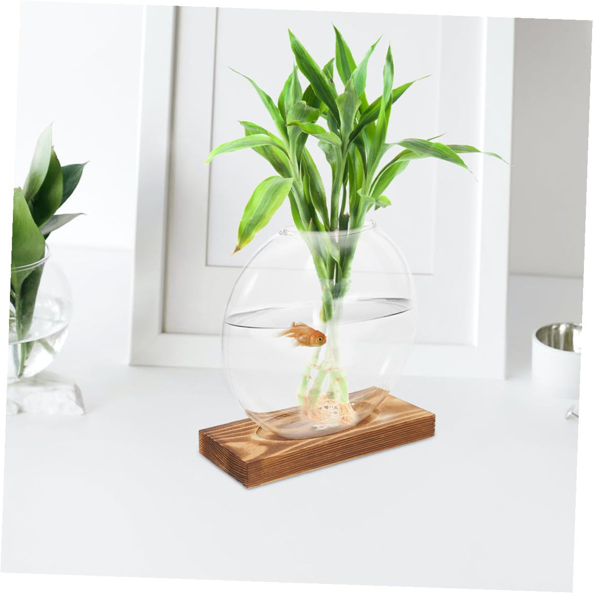 QUMIIRITY 2Pcs Hydroponic Glass Vase with Wooden Base, Plant Propagation Station for Home Office Balcony, Retro Style Plant Terrarium Holders for Indoor Gardening