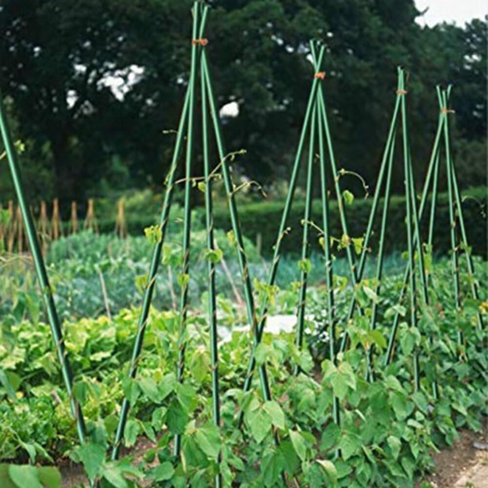 Growsun 4ft Tomato Stakes Garden Stakes Plant Cage Supports Tomato Trellis Climbing Metal w/Plastic Coated, Pack of 50