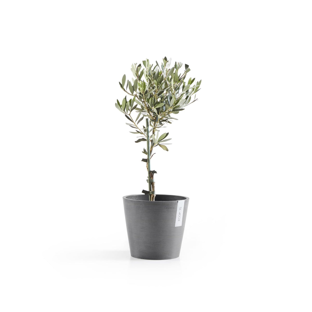Ecopots Amsterdam Durable Modern Round Indoor/Outdoor Recycled-Based Composite Flower Pot Planter, Grey, 8"
