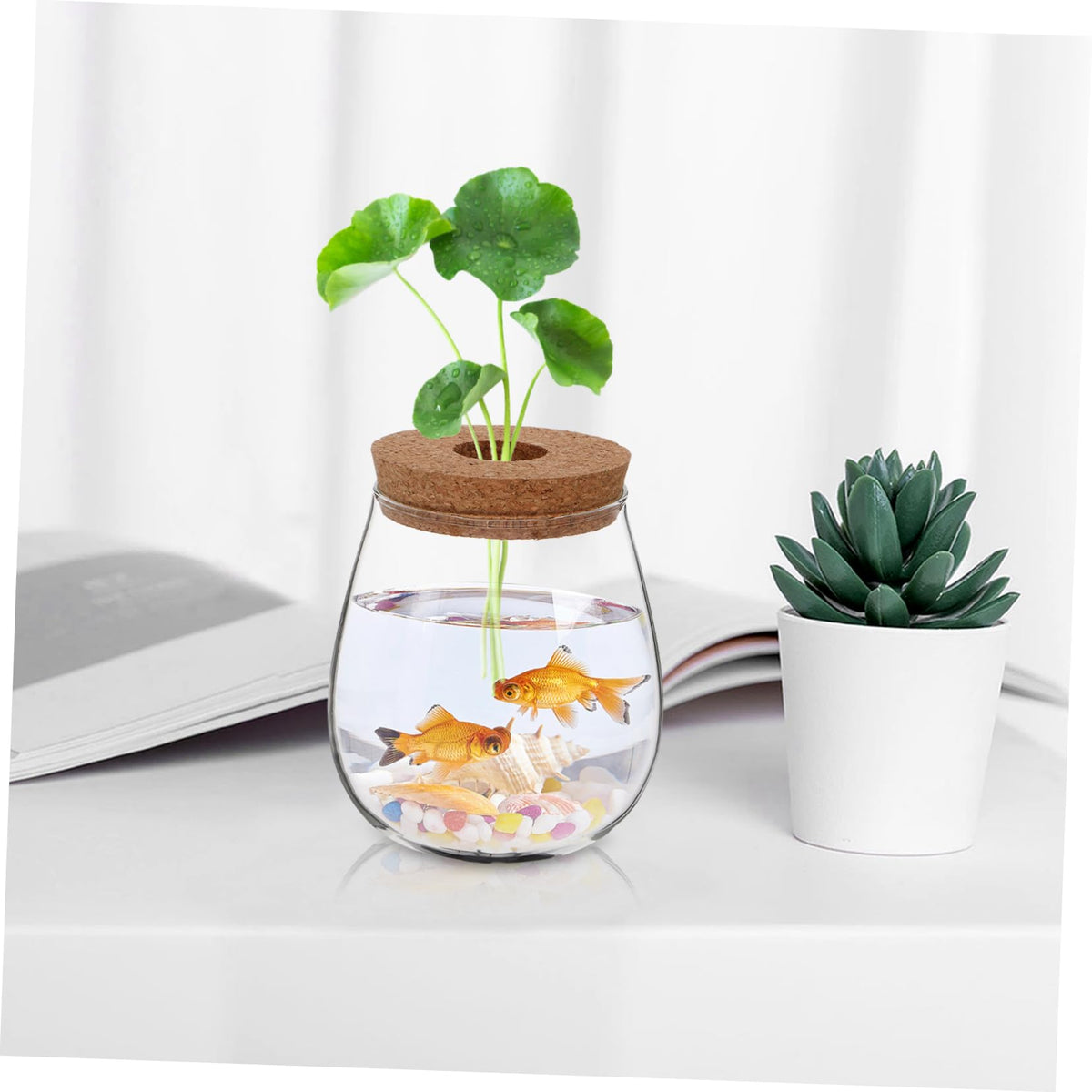 CIYODO Elegant Hydroponic Glass Vase for Indoor Plant Propagation Space Saving Terrarium for Home Decoration Minimal Maintenance Design for Plants