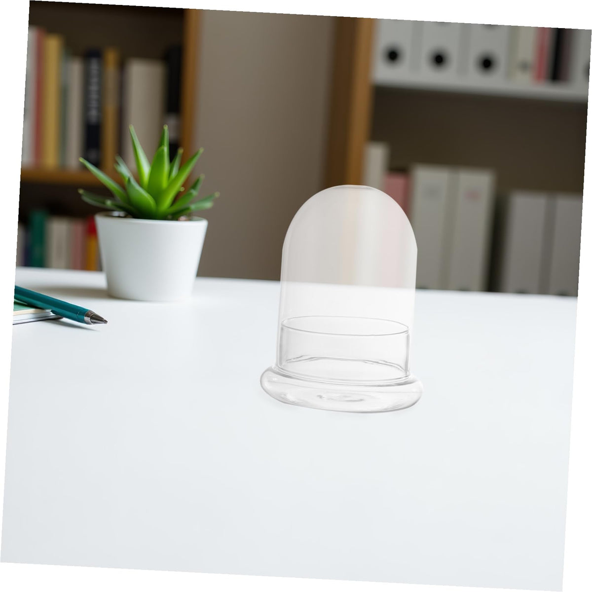 DOITOOL Decorative Glass Terrarium Jar with Ecological Bottle Moss for Home and Office D Cor Clear Glass Cloche Bell Jar for Diy Micro Landscape and Display 6 Inch Height