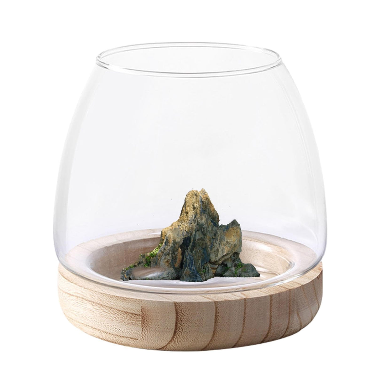 Hydroponic Vase - Durablee Hydroponic Plant Vase, Transparent Glass Fish Bowl Vase with Wooden Support | Wide Mouth Terrarium Flower Vase, Glass Hydroponic Planter Clear Fish Bowl for Home Decoration