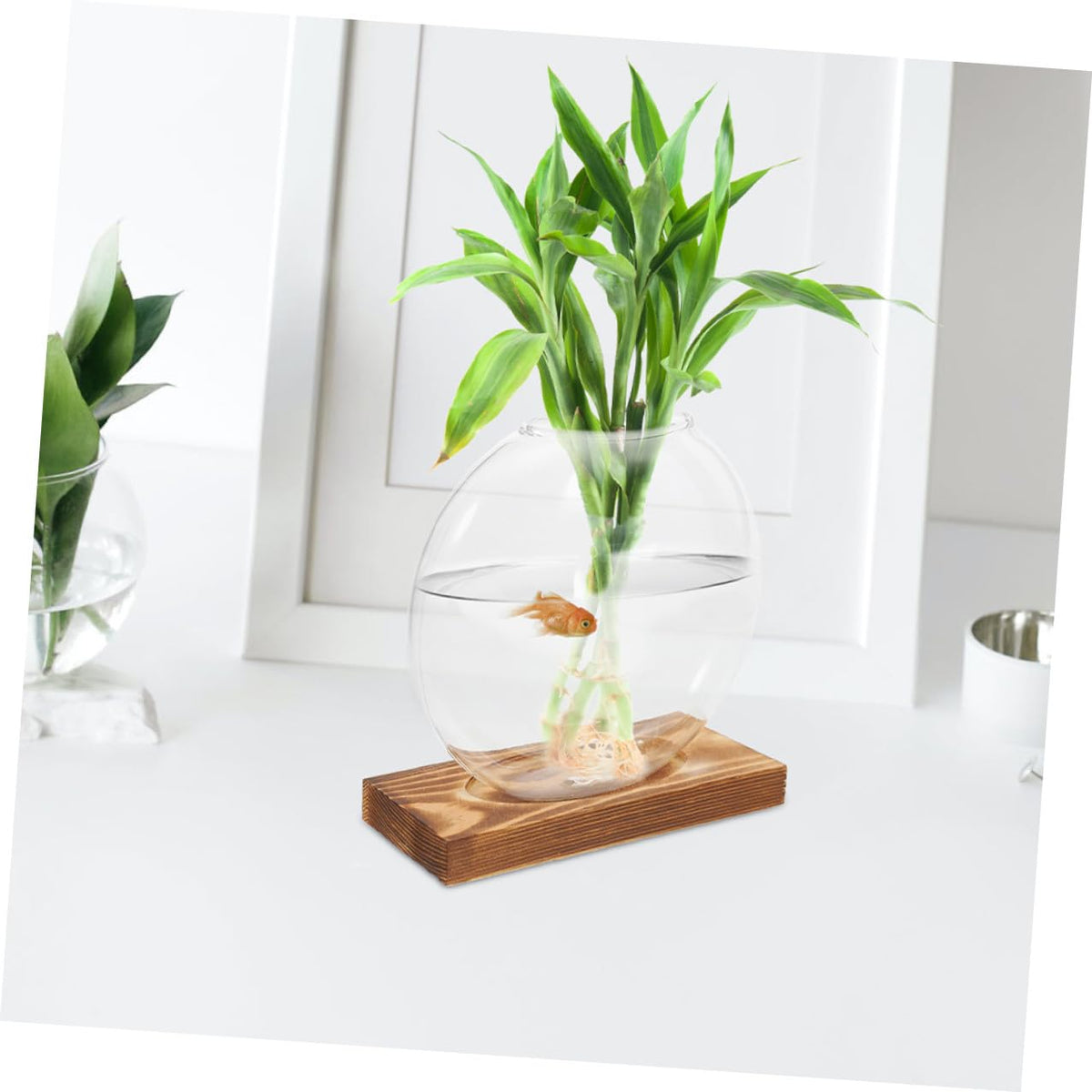 NUOBESTY 2pcs Glass Vase with Wooden Stand for Plant Propagation Hydroponic Terrarium Container Desktop Planter for Home and Office Decor