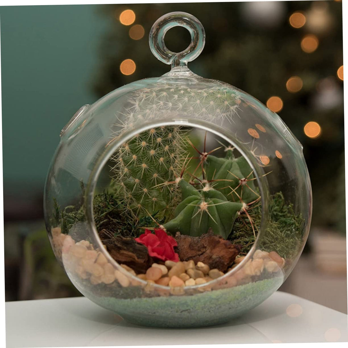 Cabilock 4pcs Hanging Glass Terrarium Shape Container for Plants Home Decor Wedding Decoration Flat Base Design