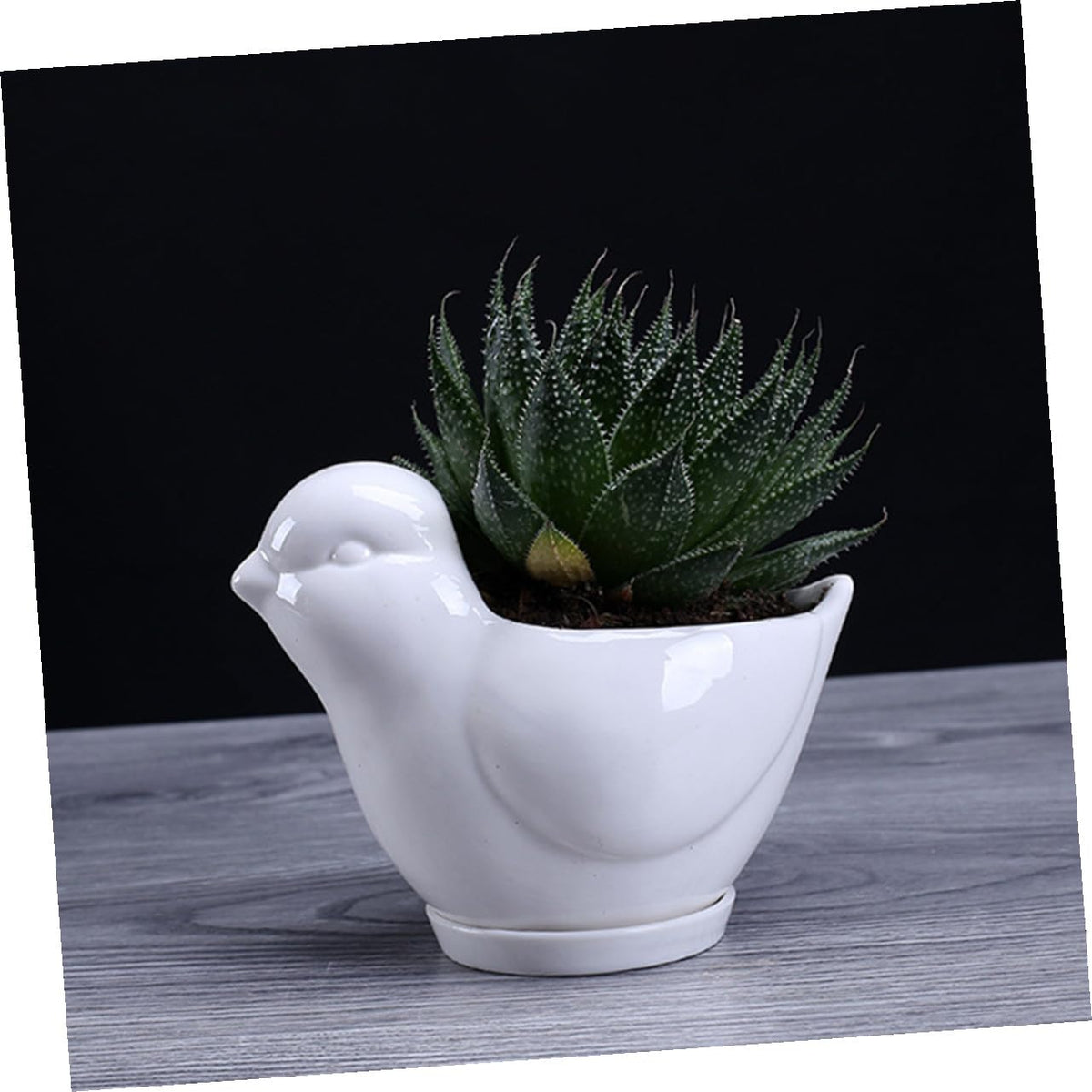 LALAFINA Ceramic Succulent Plant Container Bird Shape Large White Flower Pot with Saucer Indoor Desktop Planter for Home Garden Decor