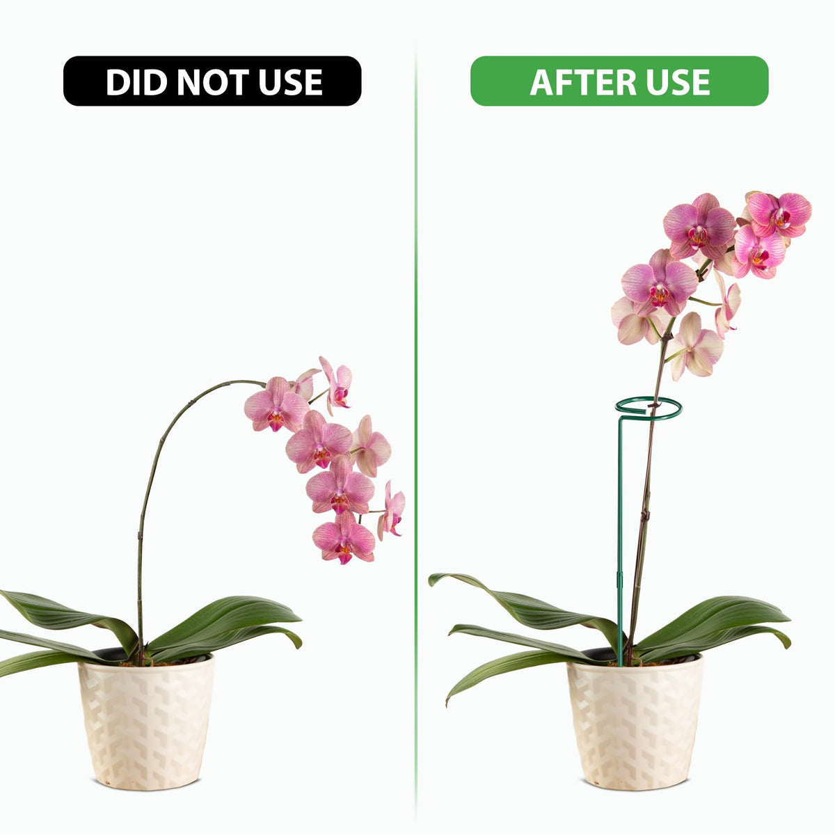 Unves 24 Inch Plant Stakes Tall, 12 Pack Garden Plant Support Stakes,Two Sizes(12" or 24") Single Stem Plant Cage for Outdoor Indoor Plants Orchid, Tomatoes, Peony, Lily, with 100 Pcs Twist Ties