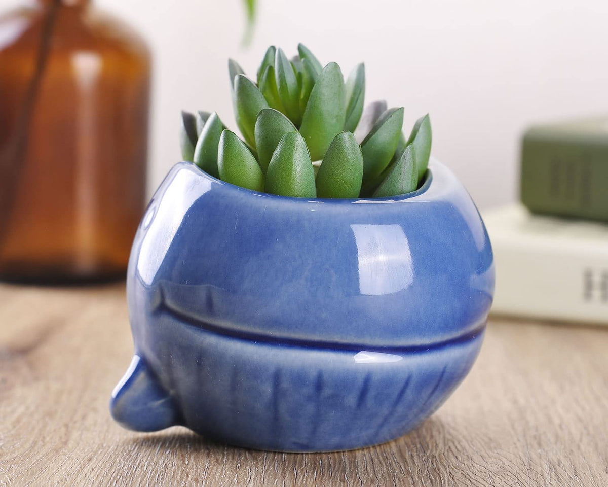 VanEnjoy 5" Ocean Blue Seashell Series Conch Shaped Cactus Planter, Flower Pot, Bonsai Pot (Dark Blue Whale)