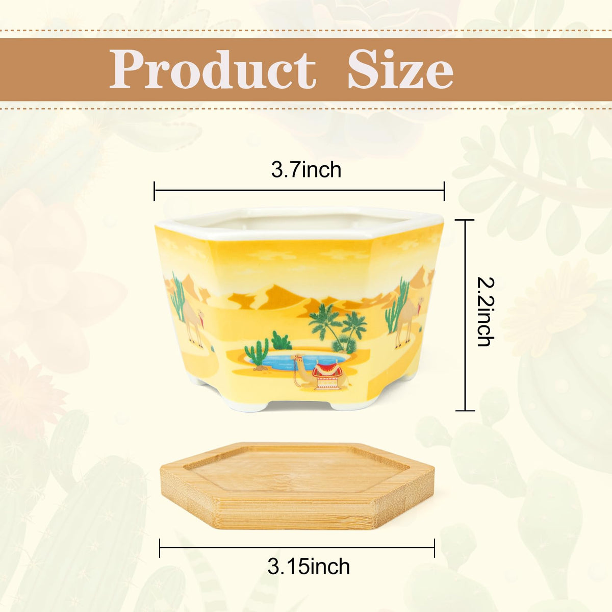 Succulent Pots, 6 Pack Floral Plant Pots with Drainage Tray, 3.7" Small Flower Pots for Indoor Plants, Ceramic Succulent Planters for Cactus, Home Office Decor