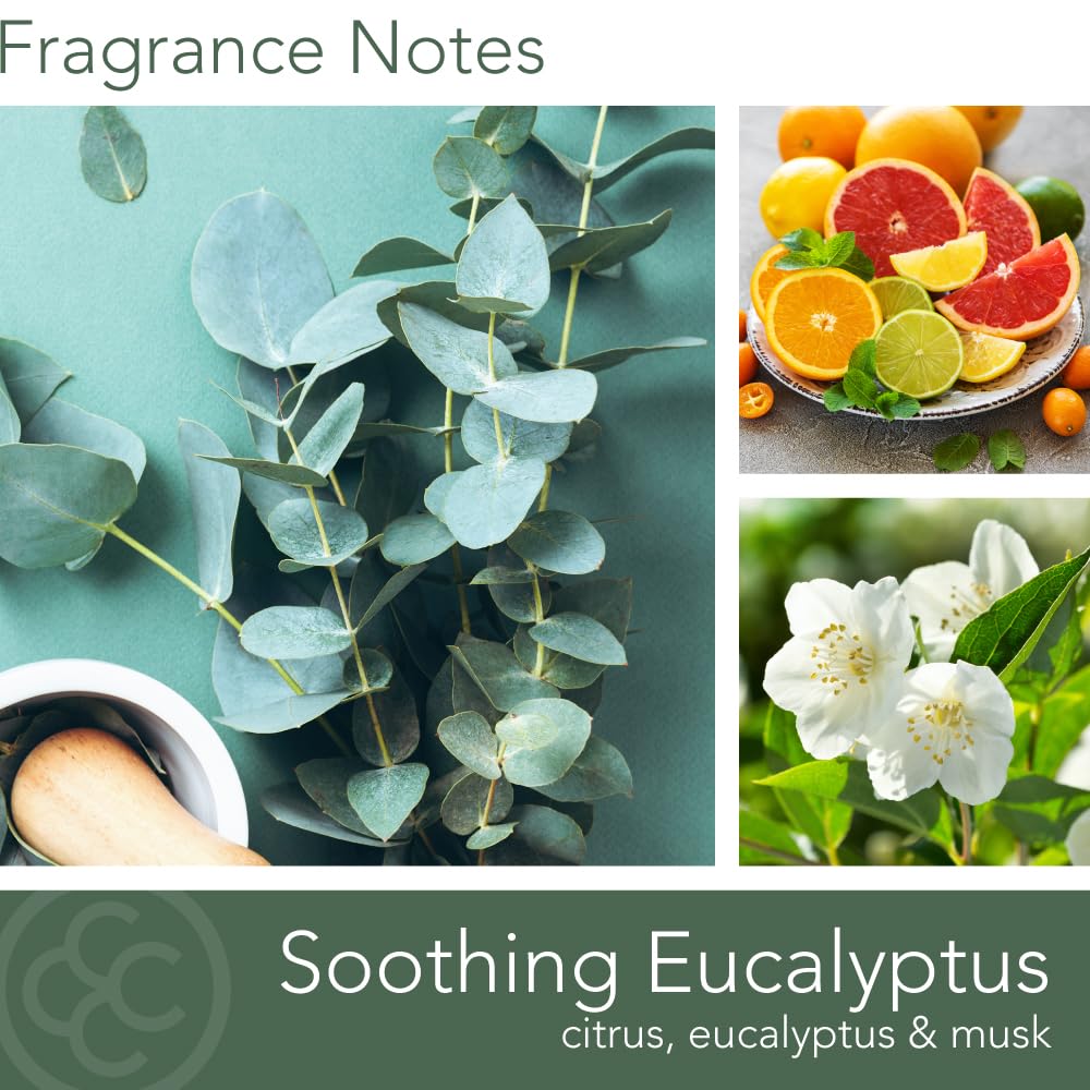 Carolina Soothing Eucalyptus Scented Candle, 16 oz Wellness Relaxing Aromatherapy Candle, 2 Wick White Jar Soy Blend Wax, Candles for Home, 60H Burn - Made in The USA