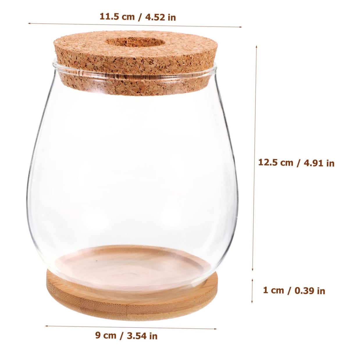 GANAZONO 1set Delicate Glass Terrarium Planter Bamboo Tray Hydroponic Landscape Bottle for Indoor Plants Compact Micro Ecosystem Decor for Home and Office