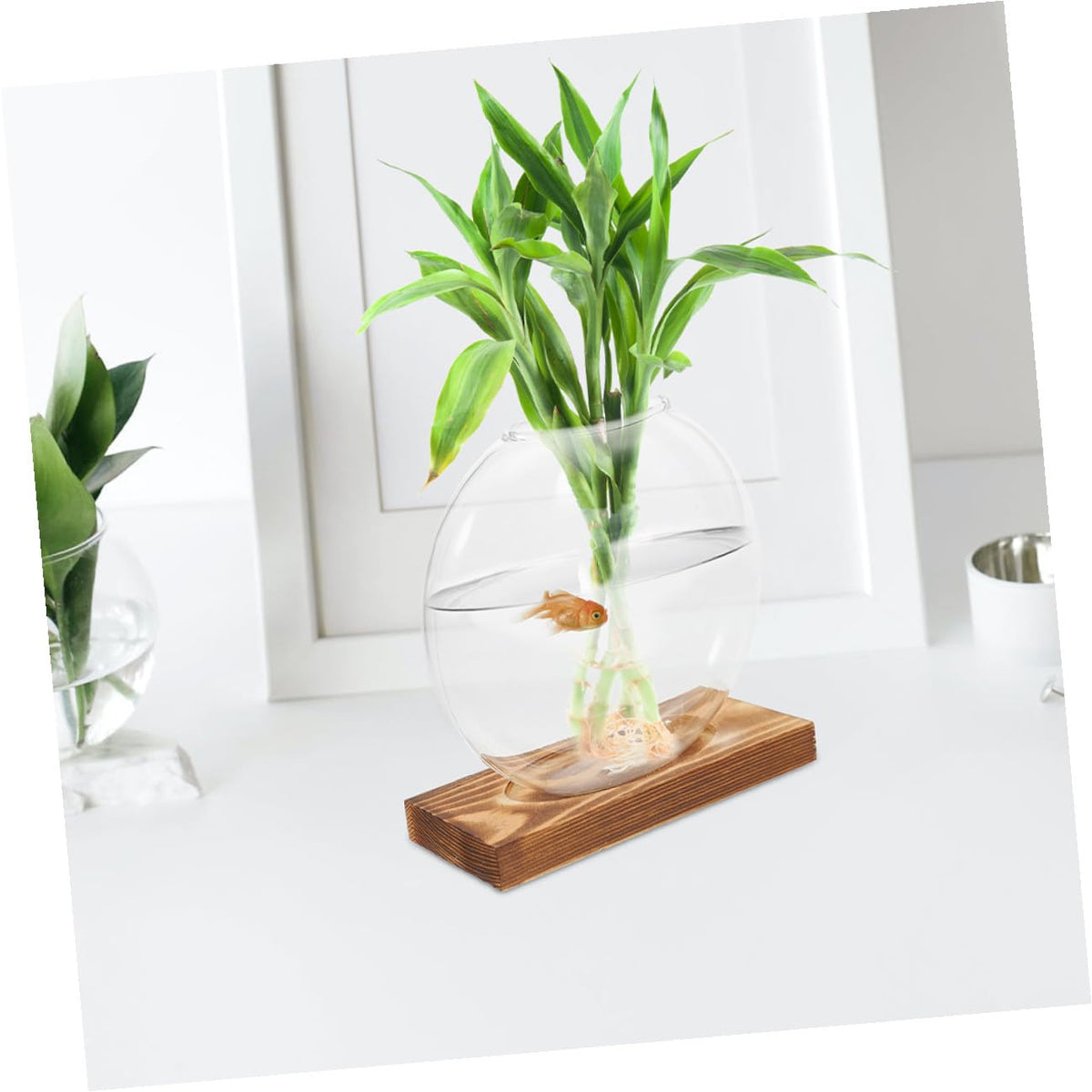 PRETYZOOM Glass Plant Propagation Vases with Wooden Base, 2pcs Hydroponic Glass Containers for Indoor Plants, Terrarium Containers for Home and Office Decor