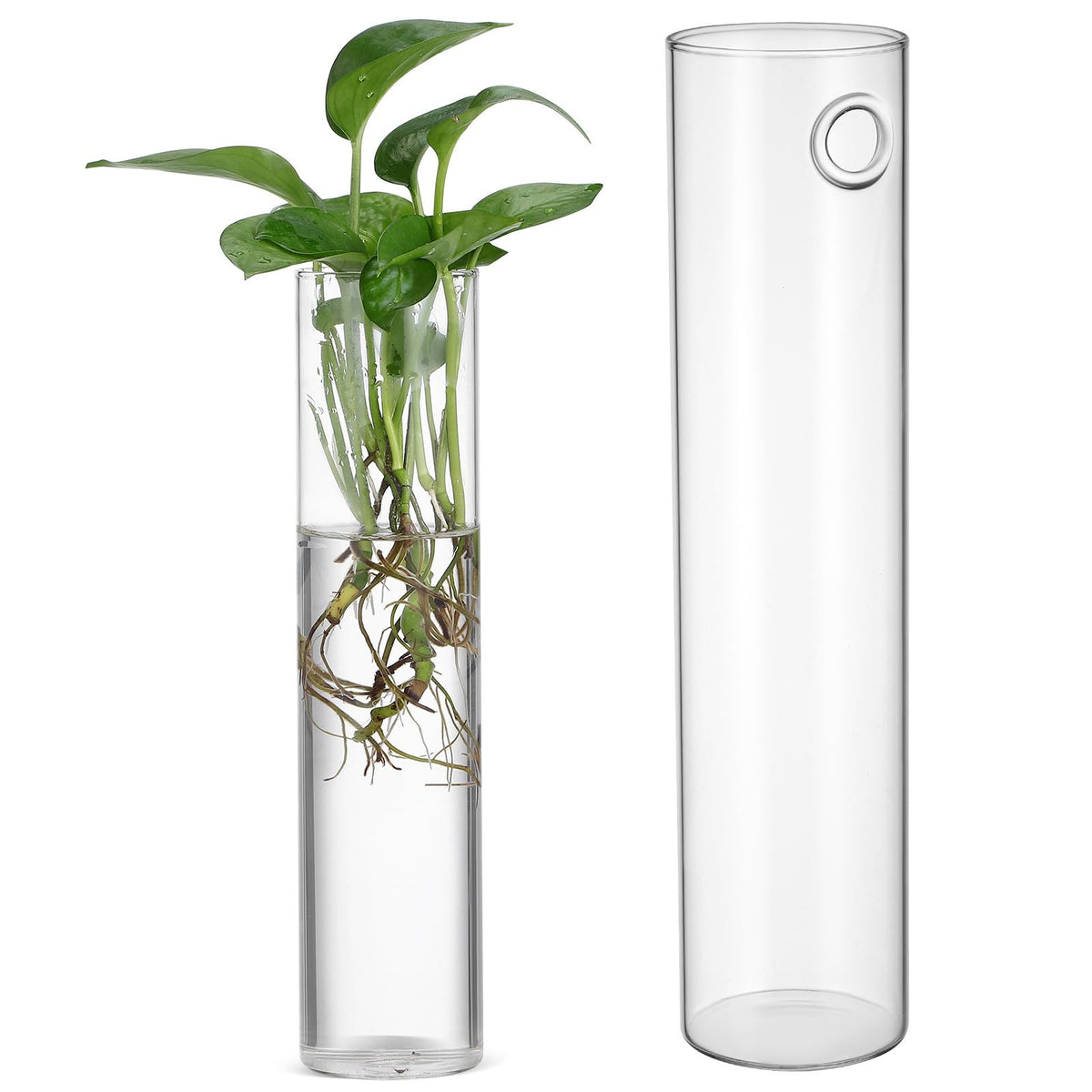 RUNROTOO 2pcs Wall Hanging Glass Vases for Indoor Plant Propagation Stations, Large Round Tube Hydroponic Water Plant Holders, Modern Hanging Terrariums for Home Décor
