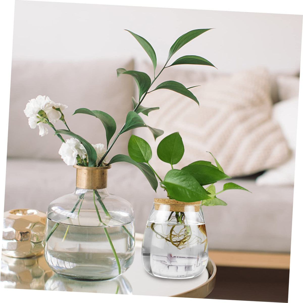 MAGICLULU 2pcs Glass Plant Terrarium Holder for Desktop Decor Moss Plant Bottle for Indoor Greenery Transparent Watering for