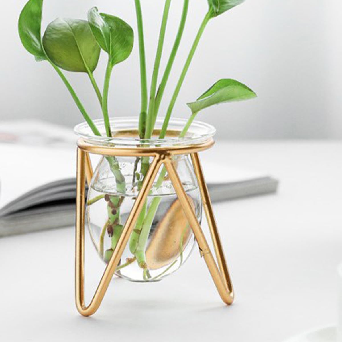 FELTECHELECTR Glass Vase with Metal Stand, Hydroponic Flower Holder Bulb Planter for Home Decor, Small Gold Desktop Plant Terrarium for Indoor Floral Display