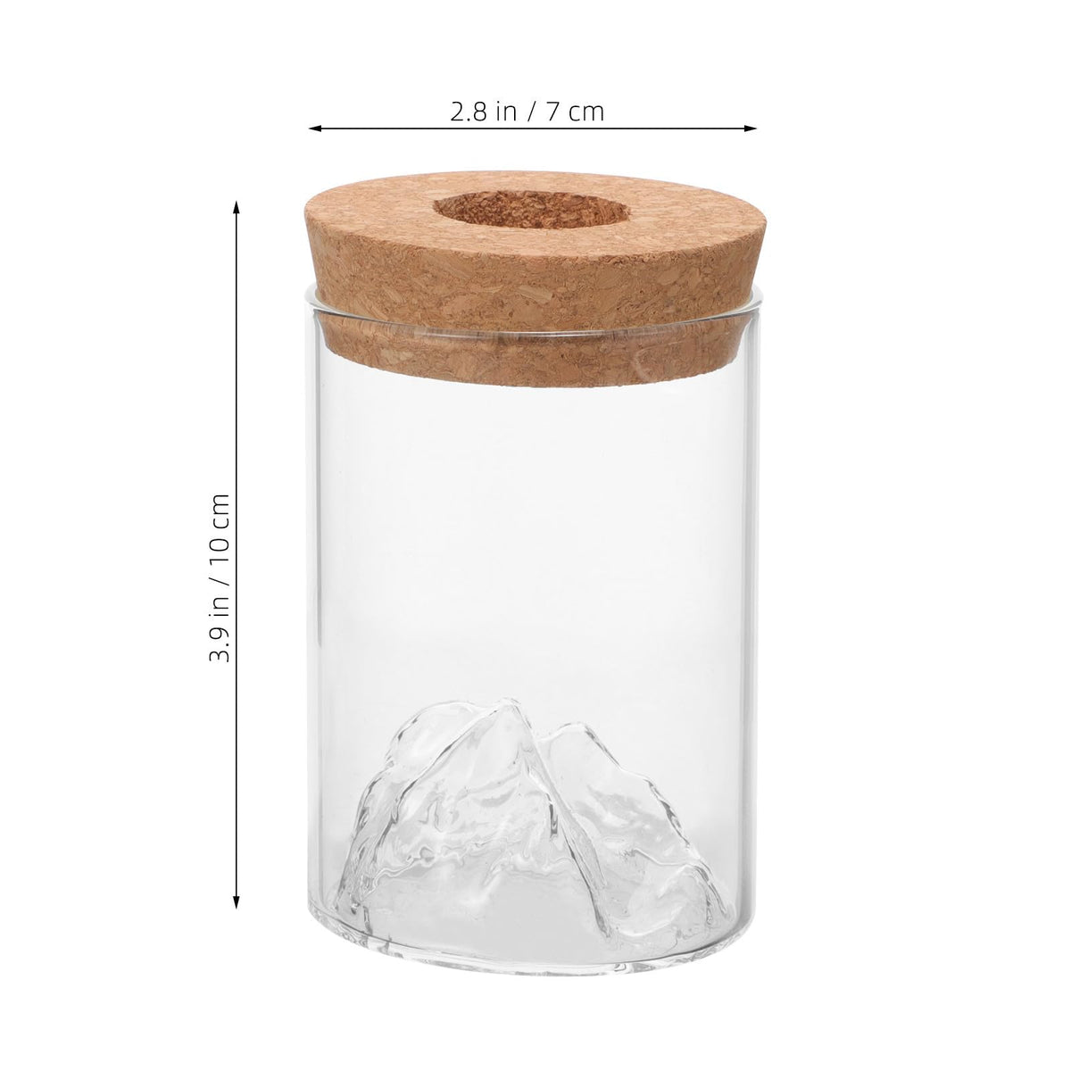 Ipetboom Creative Glass Plant Terrarium Vase Succulent Holder Hydroponic Flower Arranging Container for Desktop Office Home Décor