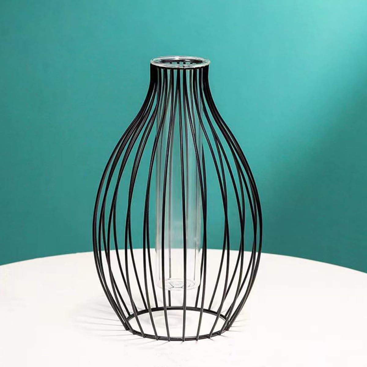 Ciieeo Glass Propagation Station with Iron Frame Test Tube Vase, Small Geometric Plant Terrarium Holder for Home Décor and Desktop Display