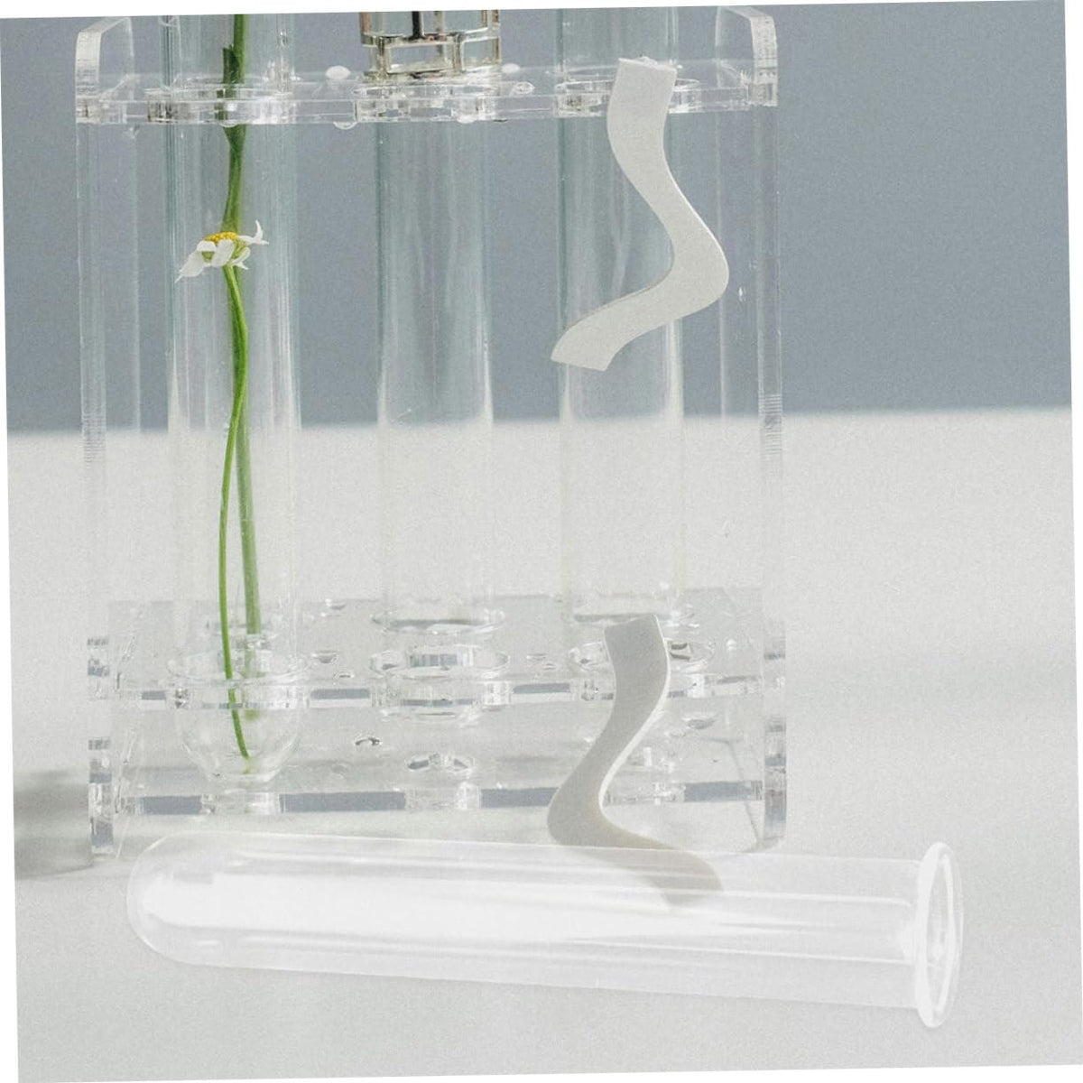 VALICLUD 6pcs Clear Glass Test Tubes for Plants Hydroponics Vase Transparent Flower Tubes Desk Terrarium Water Propagation Decorative Plant Containers