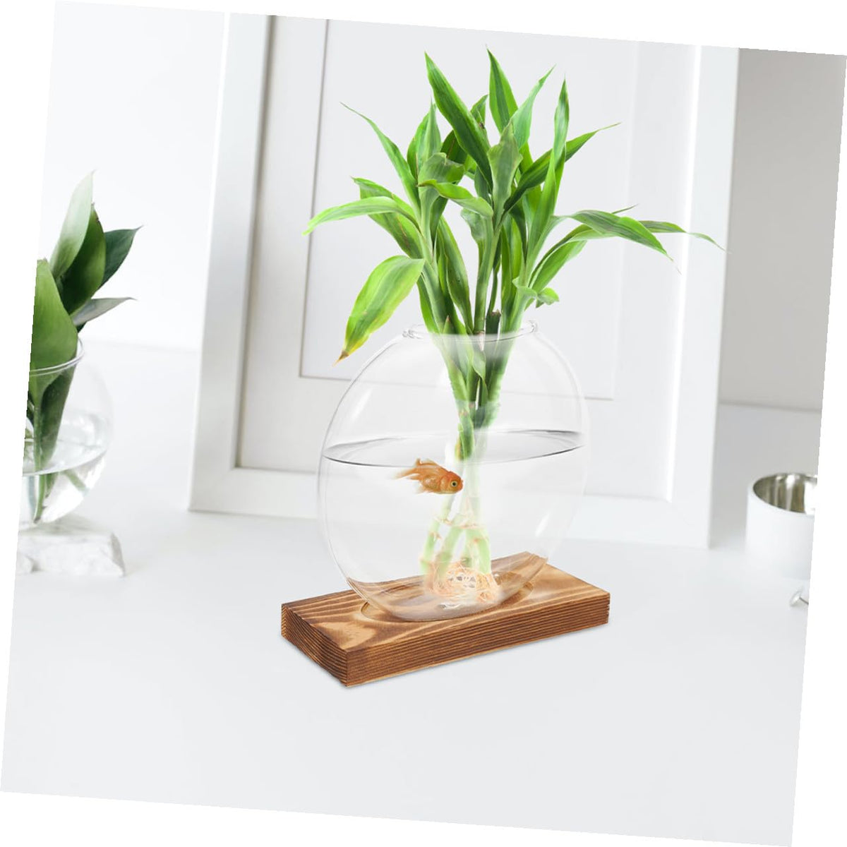 FUTUREORYY 2pcs Indoor Plant Vase with Wooden Base, Hydroponic Glass Planter for Propagation, Desktop Terrarium Suitable for Home and Office Décor