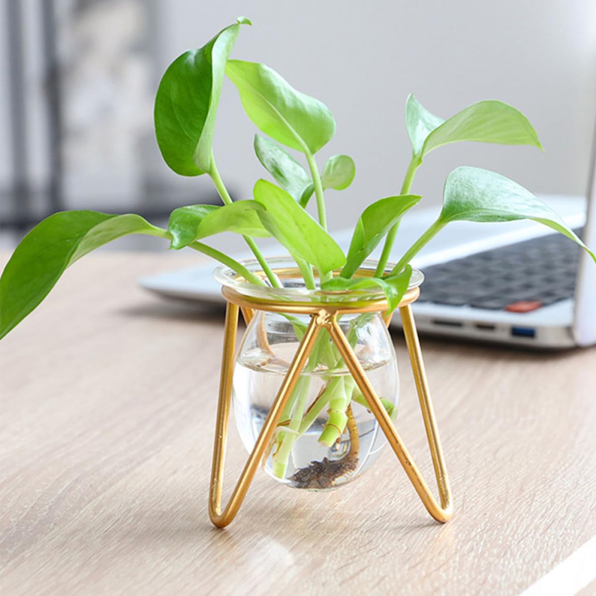 Zerodeko Glass Flower Vase with Metal Stand, Short Gold Hydroponic Plant Holder for Desktop Terrarium and Propagation, Glass Plant Pot for Home and Office Décor