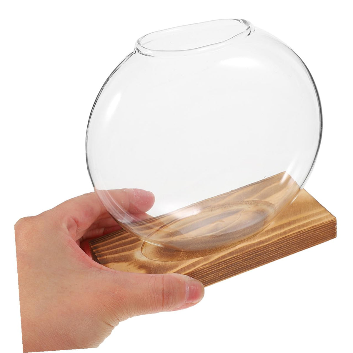 PRETYZOOM Glass Plant Propagation Vases with Wooden Base, 2pcs Hydroponic Glass Containers for Indoor Plants, Terrarium Containers for Home and Office Decor