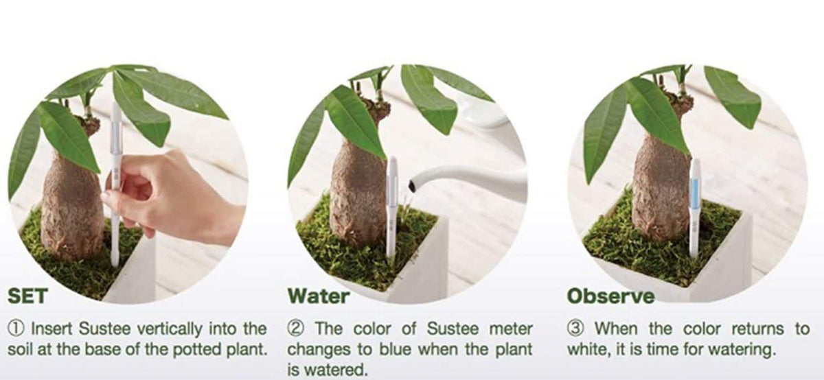 IPPINKA Sustee Aquameter, Bundle of 12, House Plant Soil Moisture Meter, Best for Indoor Potted Plants - Medium White Refillable