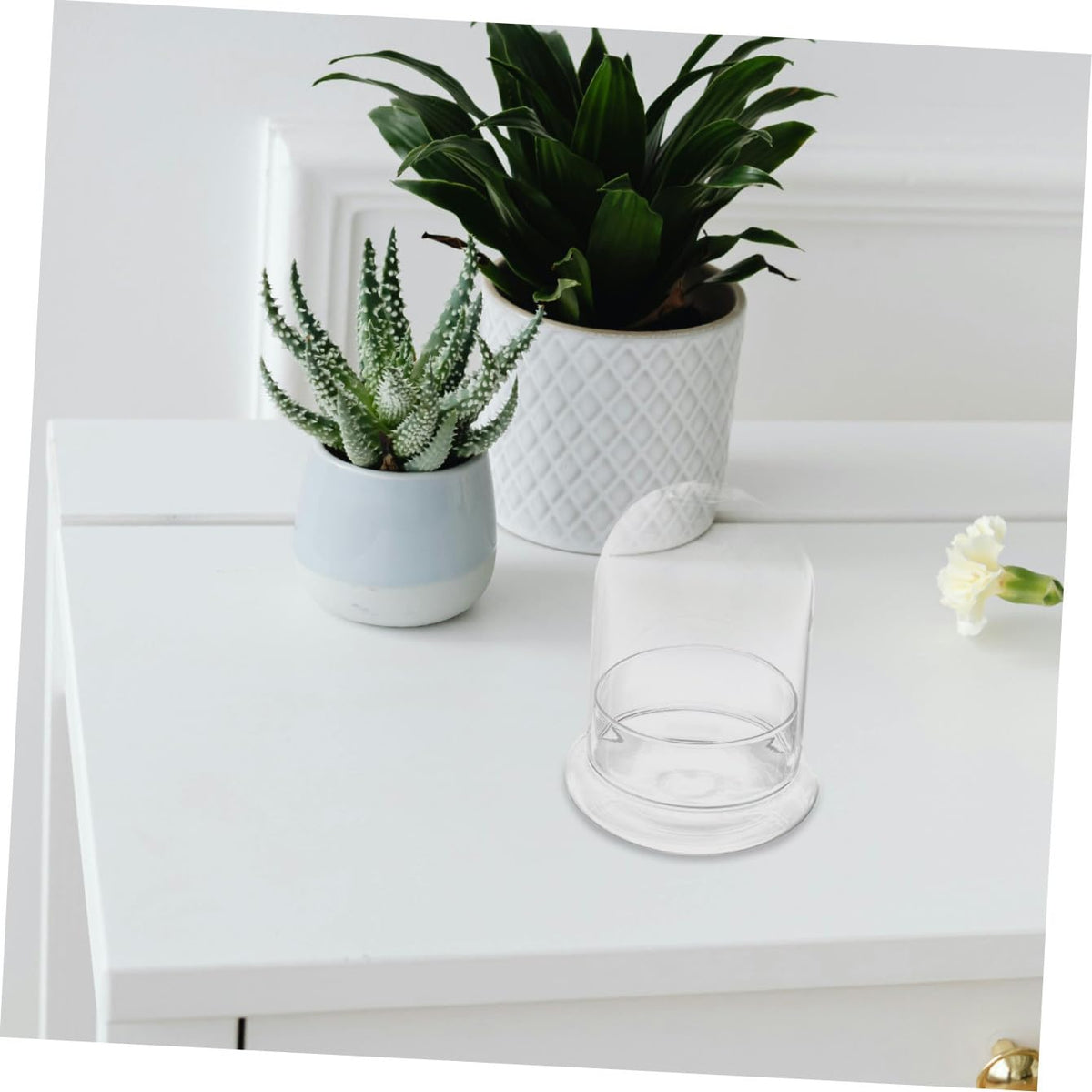 Alipis Mini Landscape Bottle Lid DIY Moss Eco Terrarium Glass Container for Home Decor Suitable for Succulent Plants and Micro Landscapes